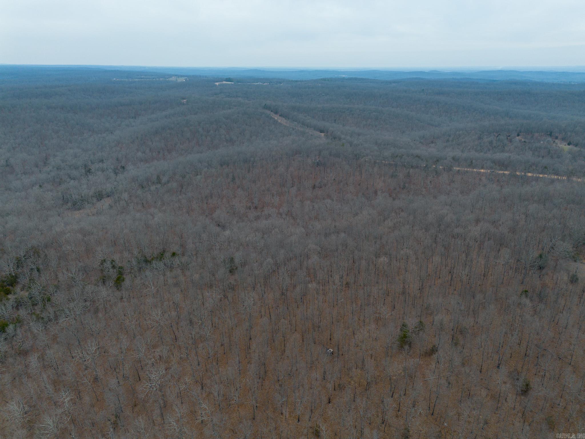 000 Nubbin Ridge  Ravenden Springs, AR
