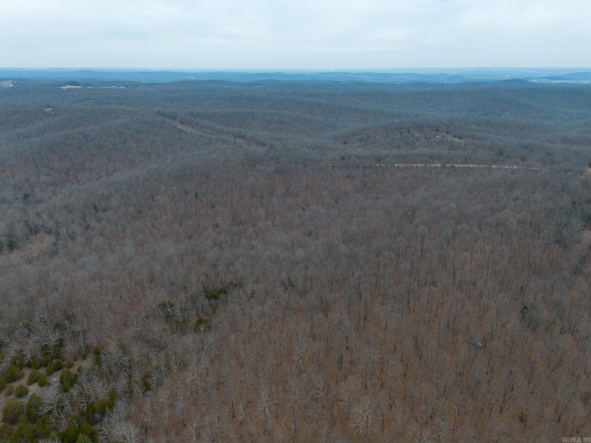 000 Nubbin Ridge  Ravenden Springs, AR