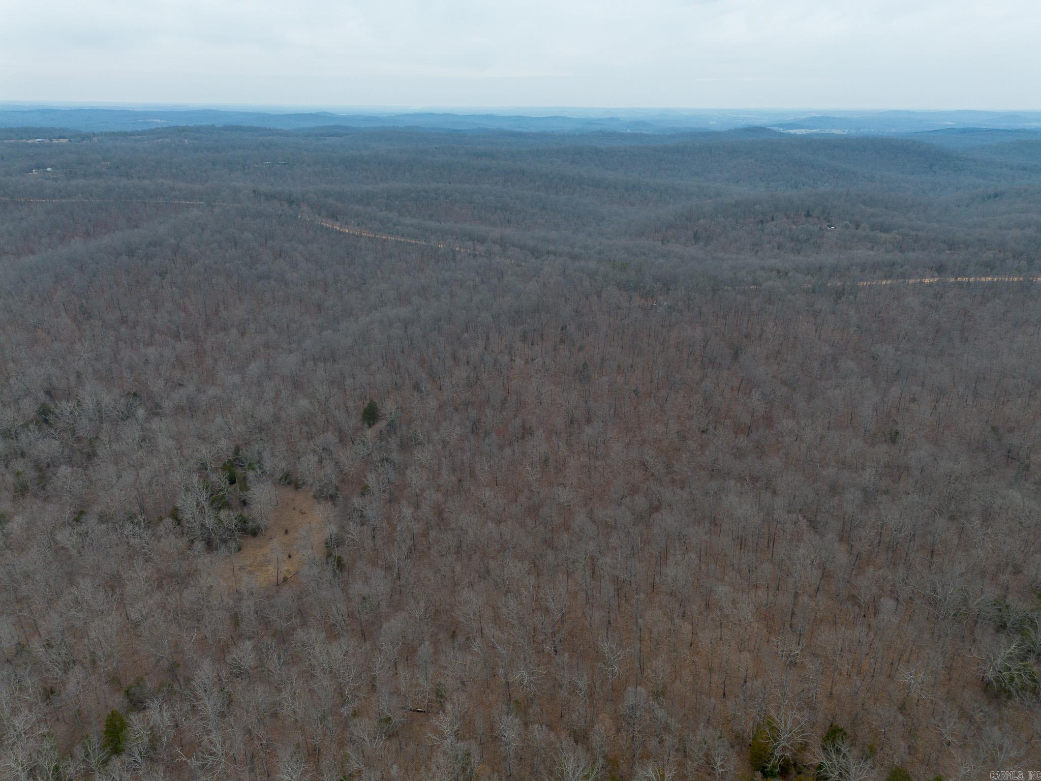 000 Nubbin Ridge  Ravenden Springs, AR