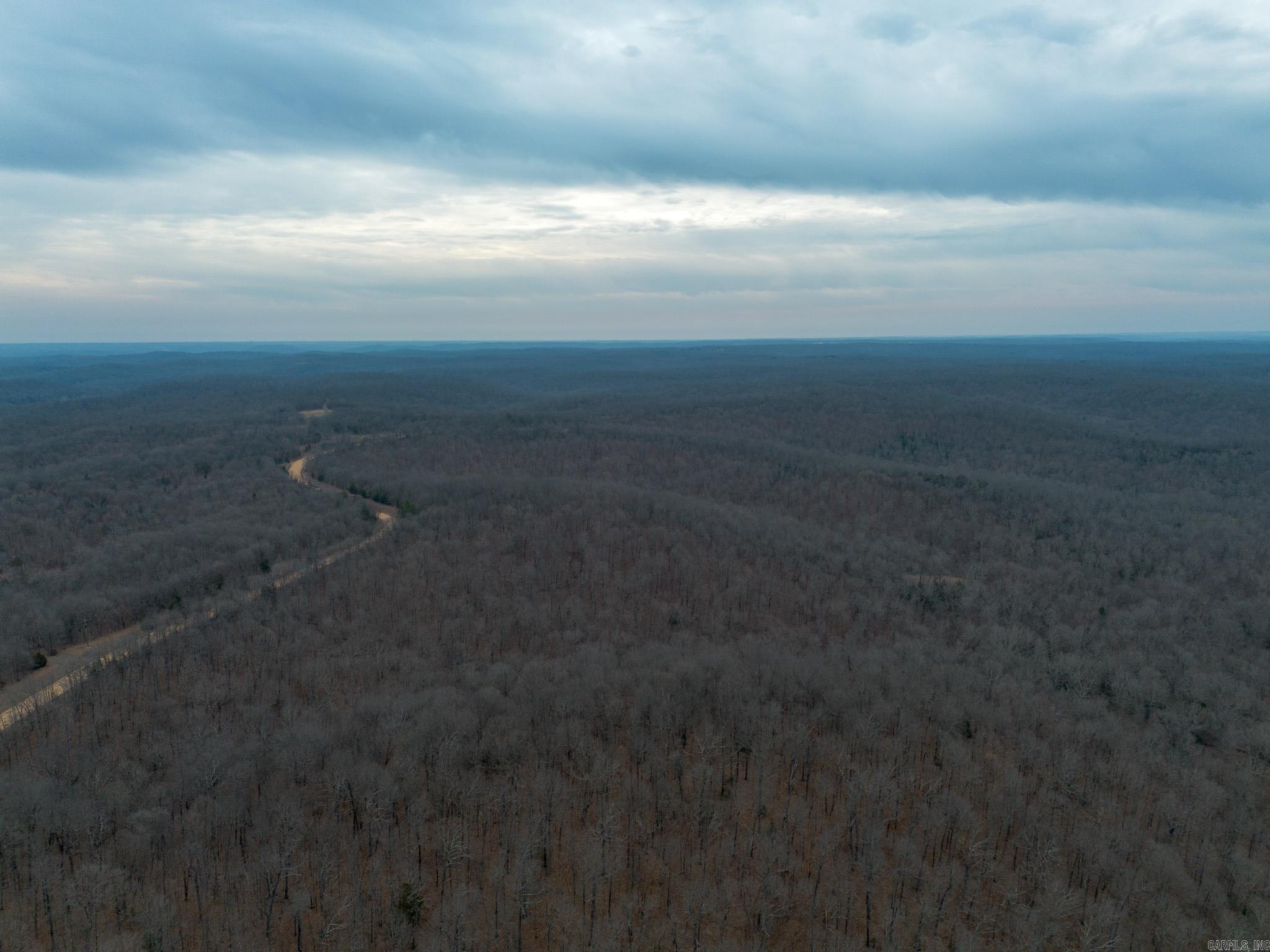 000 Nubbin Ridge  Ravenden Springs, AR