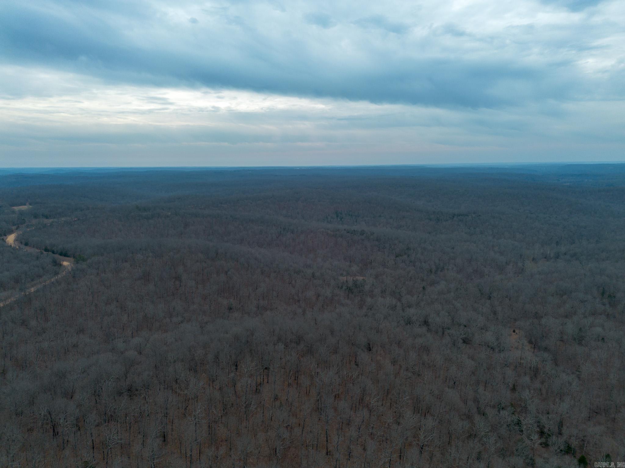 000 Nubbin Ridge  Ravenden Springs, AR