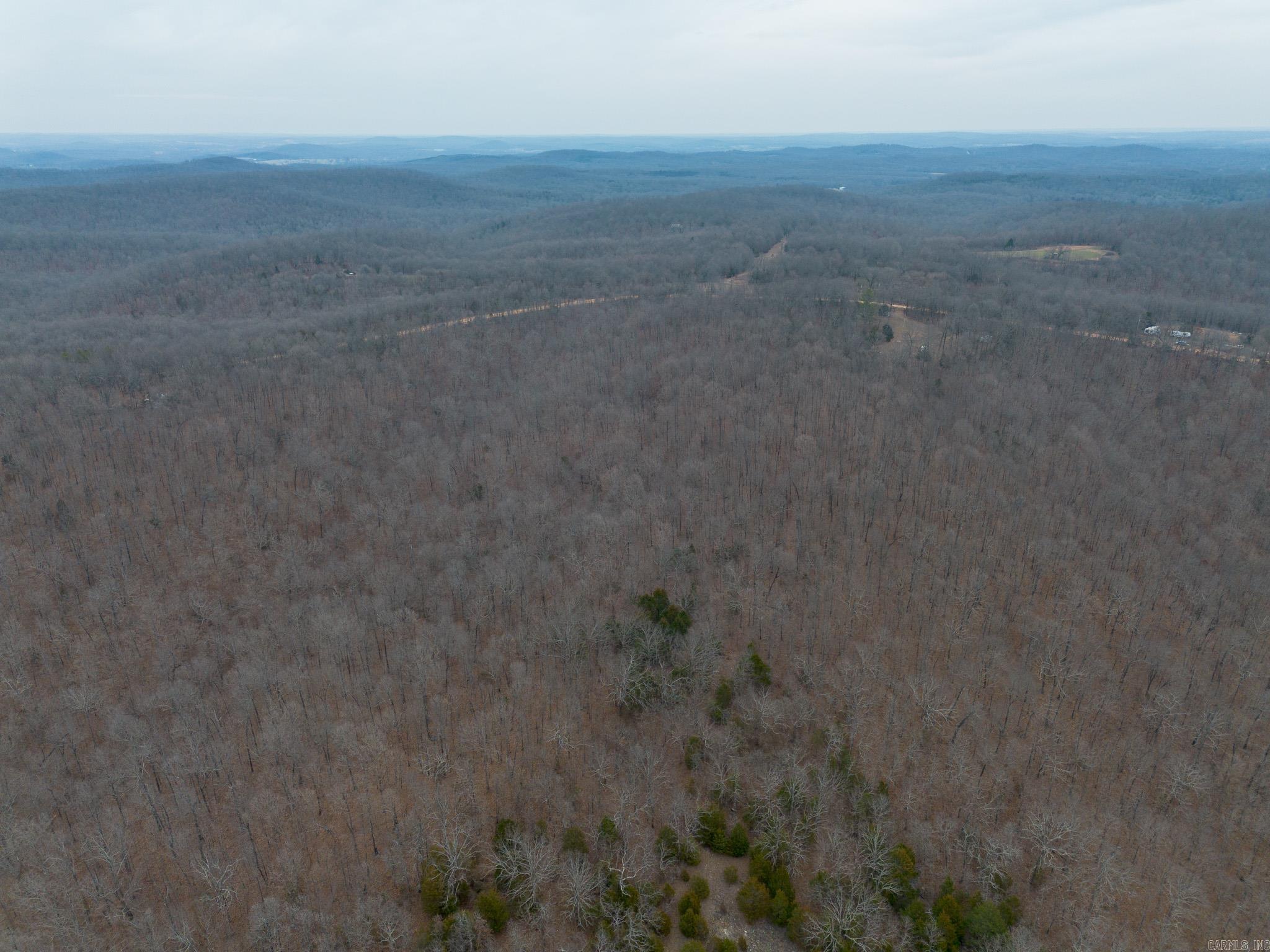 000 Nubbin Ridge  Ravenden Springs, AR