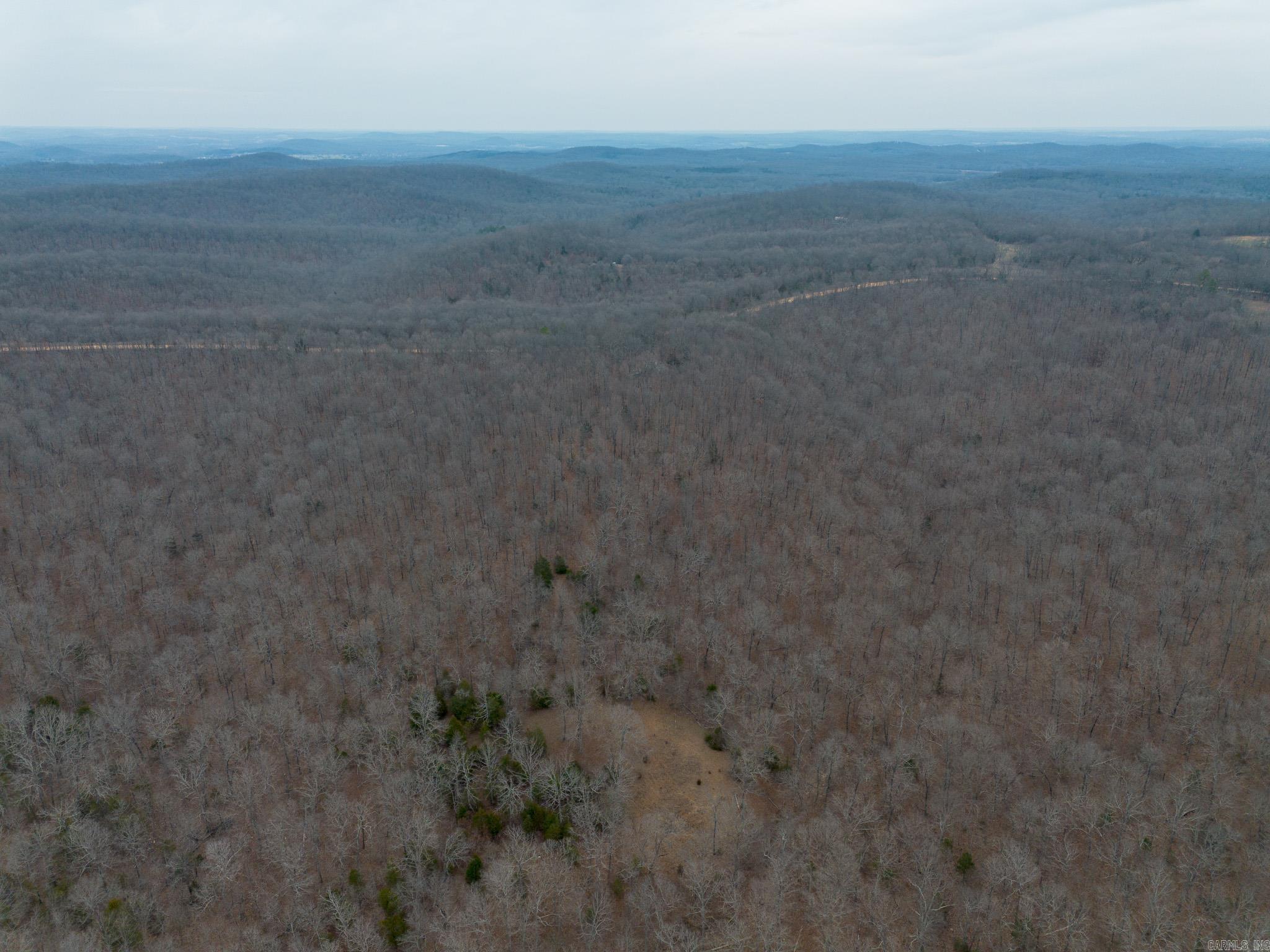 000 Nubbin Ridge  Ravenden Springs, AR