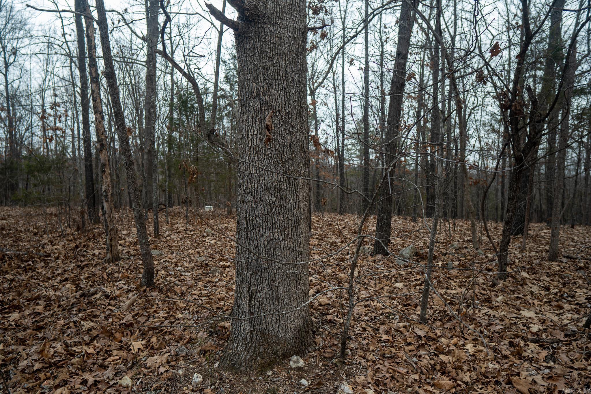 000 Nubbin Ridge  Ravenden Springs, AR