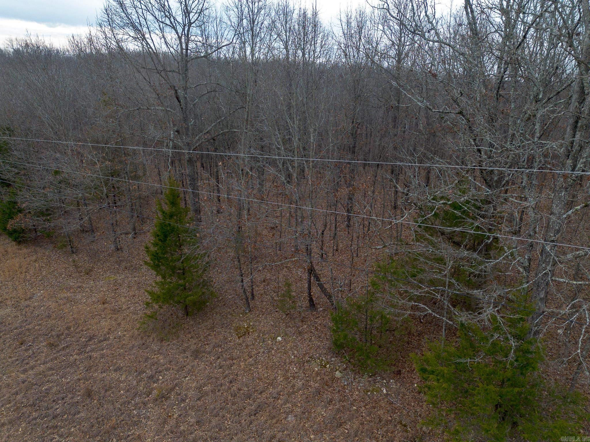 000 Nubbin Ridge  Ravenden Springs, AR