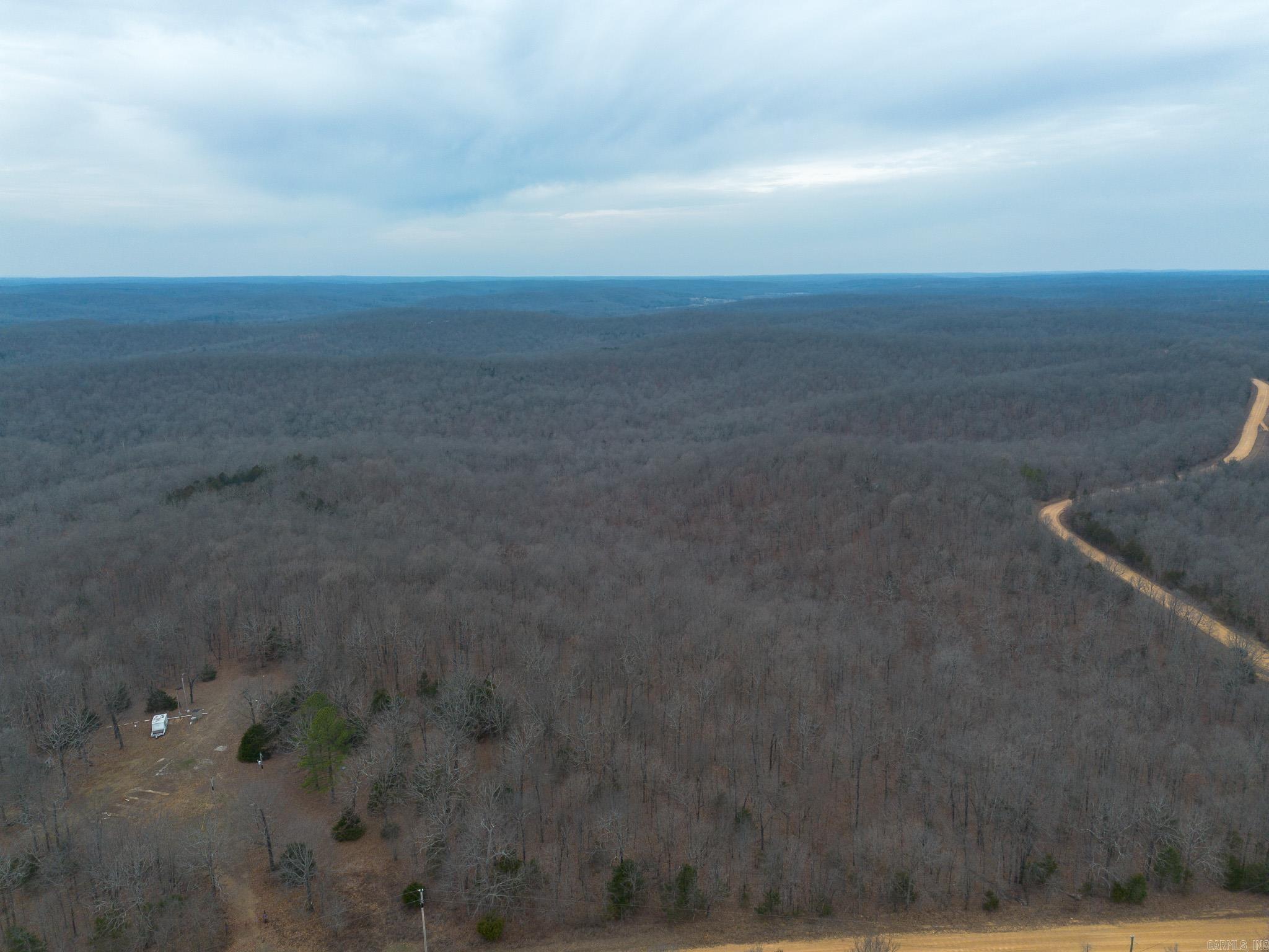 000 Nubbin Ridge  Ravenden Springs, AR