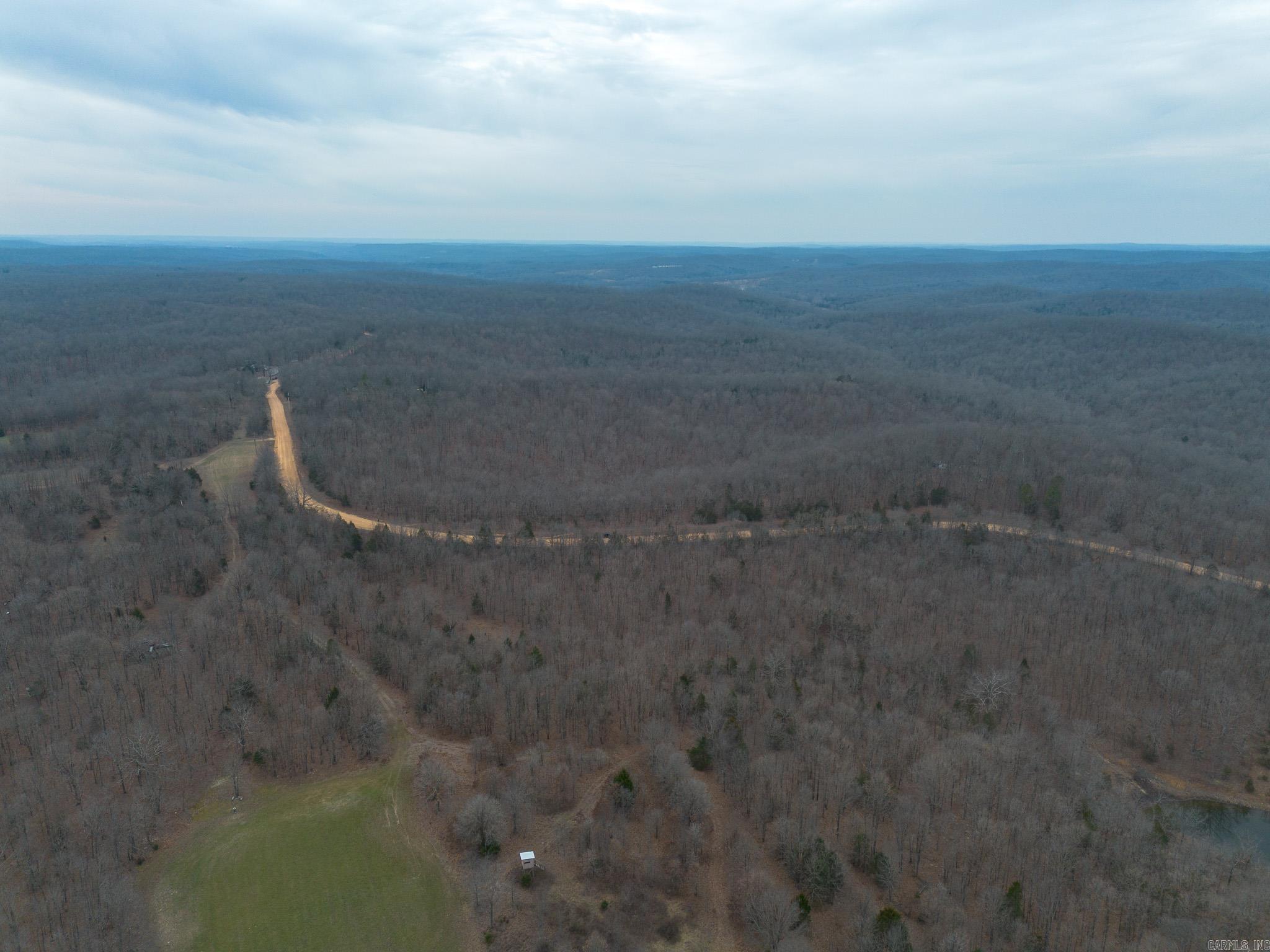 000 Nubbin Ridge  Ravenden Springs, AR