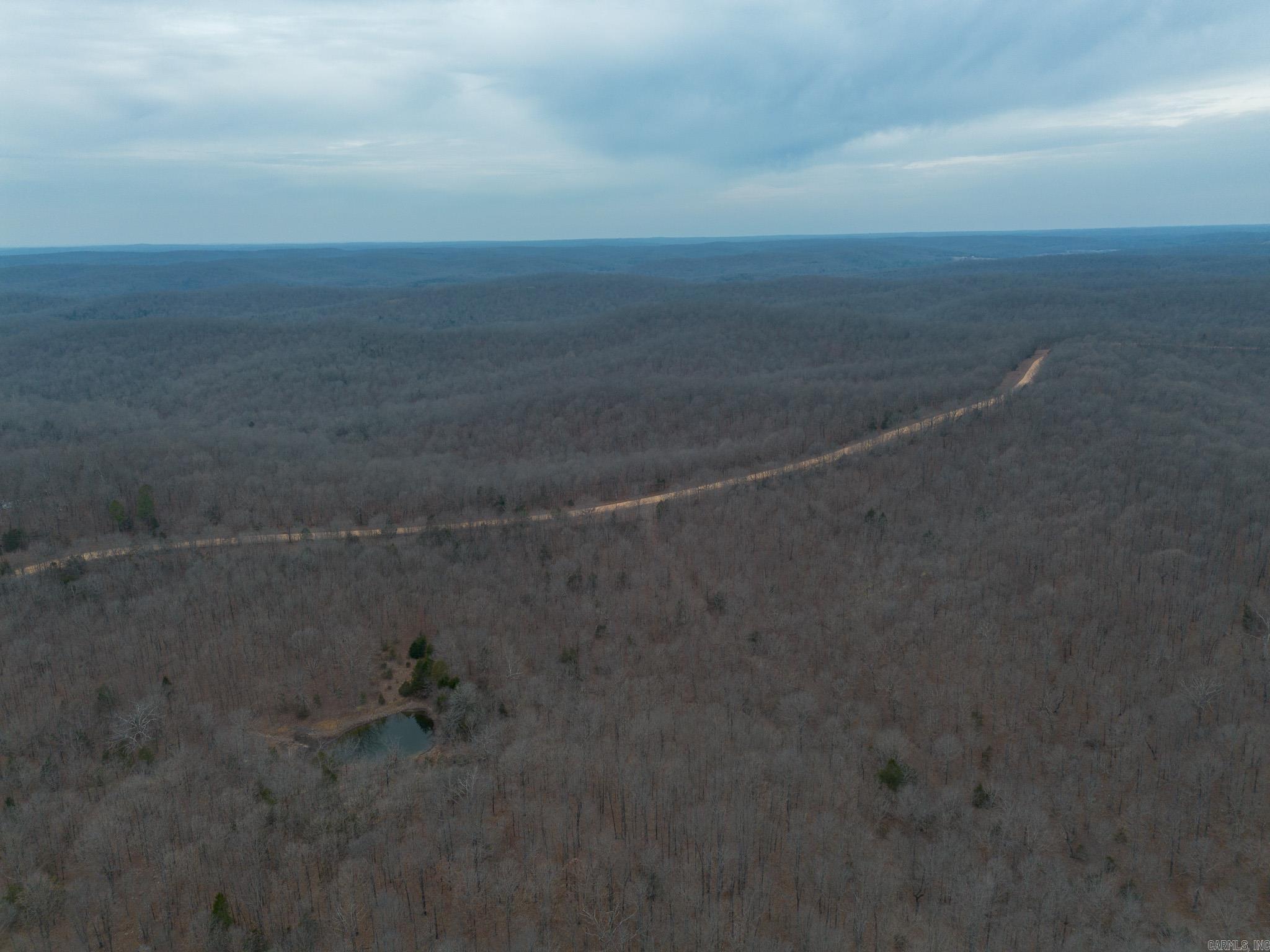 000 Nubbin Ridge  Ravenden Springs, AR