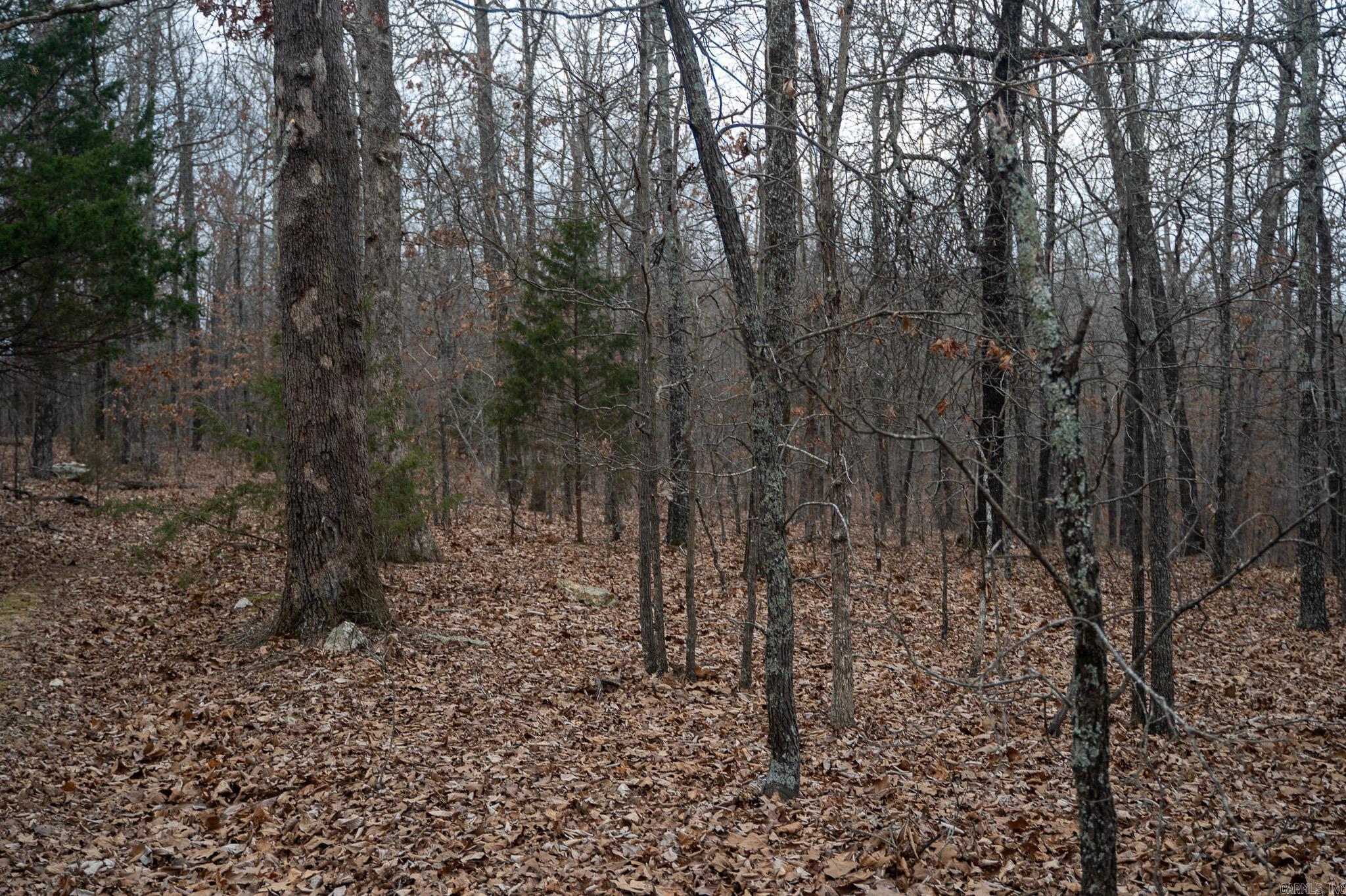 000 Nubbin Ridge  Ravenden Springs, AR