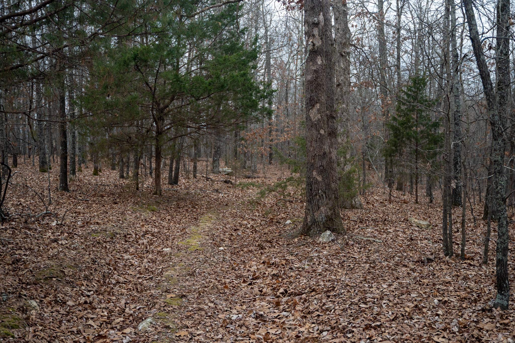 000 Nubbin Ridge  Ravenden Springs, AR