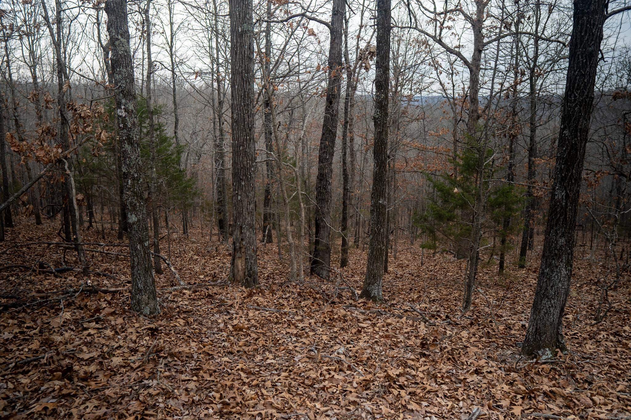 000 Nubbin Ridge  Ravenden Springs, AR