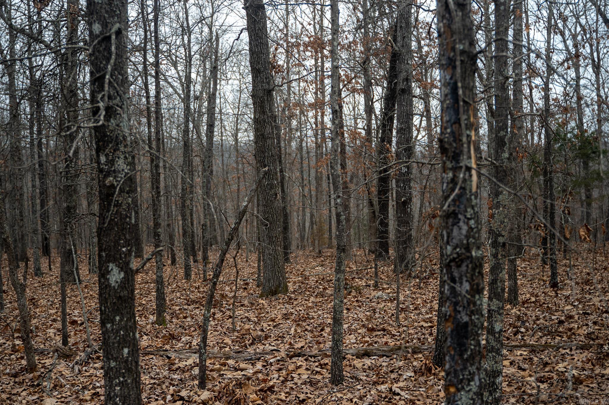 000 Nubbin Ridge  Ravenden Springs, AR