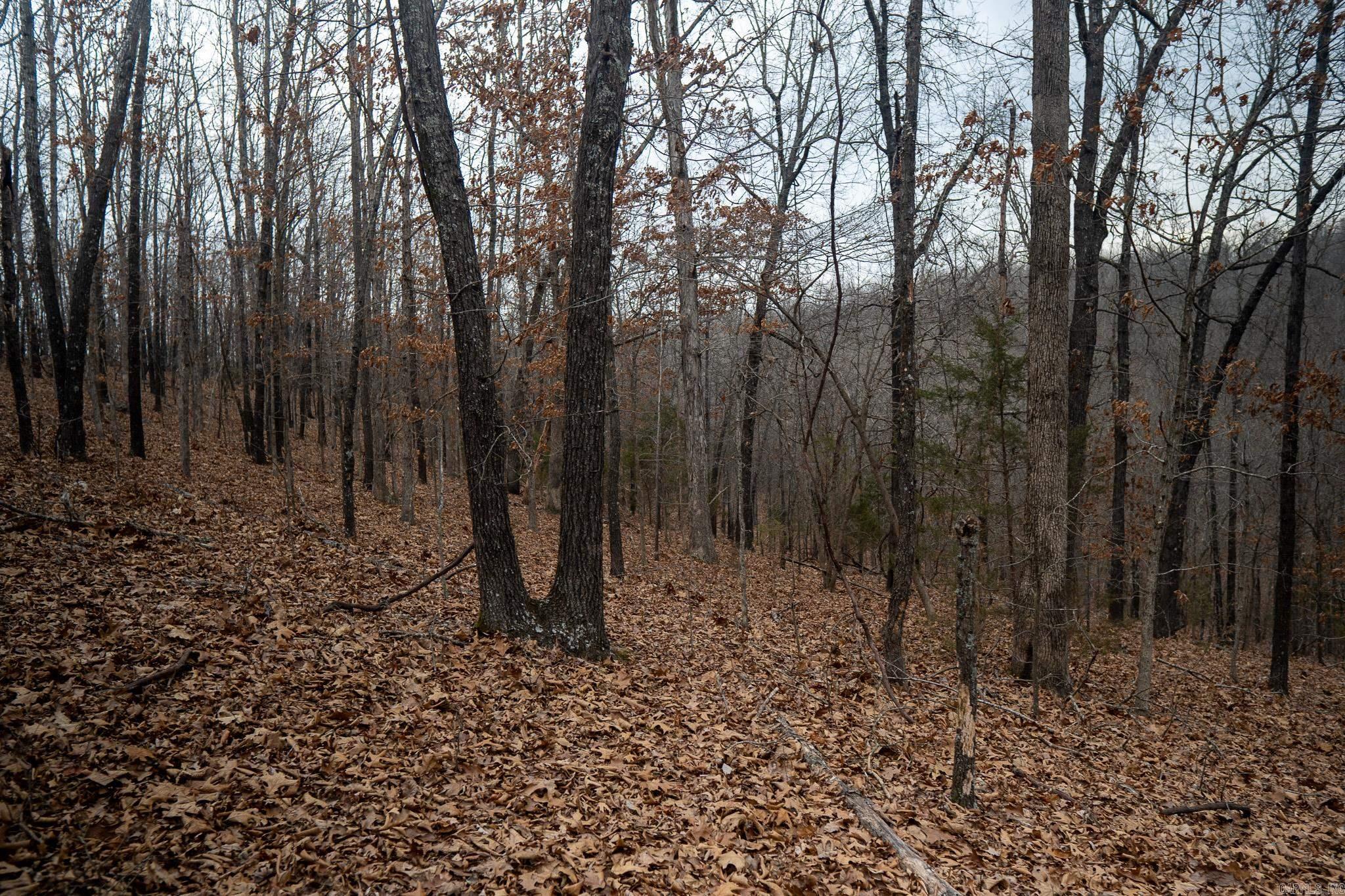 000 Nubbin Ridge  Ravenden Springs, AR