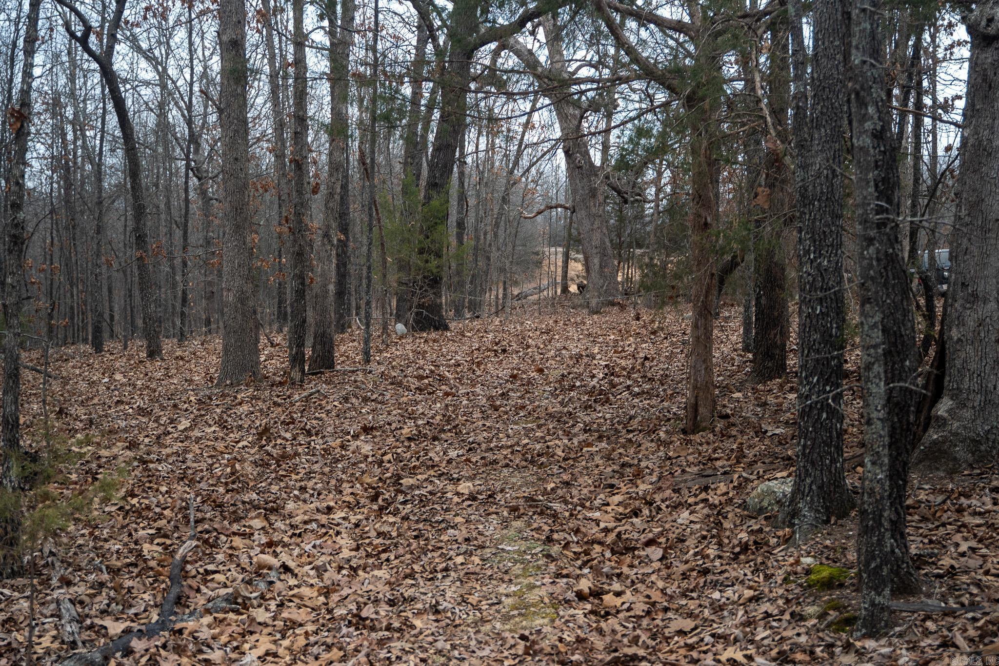 000 Nubbin Ridge  Ravenden Springs, AR