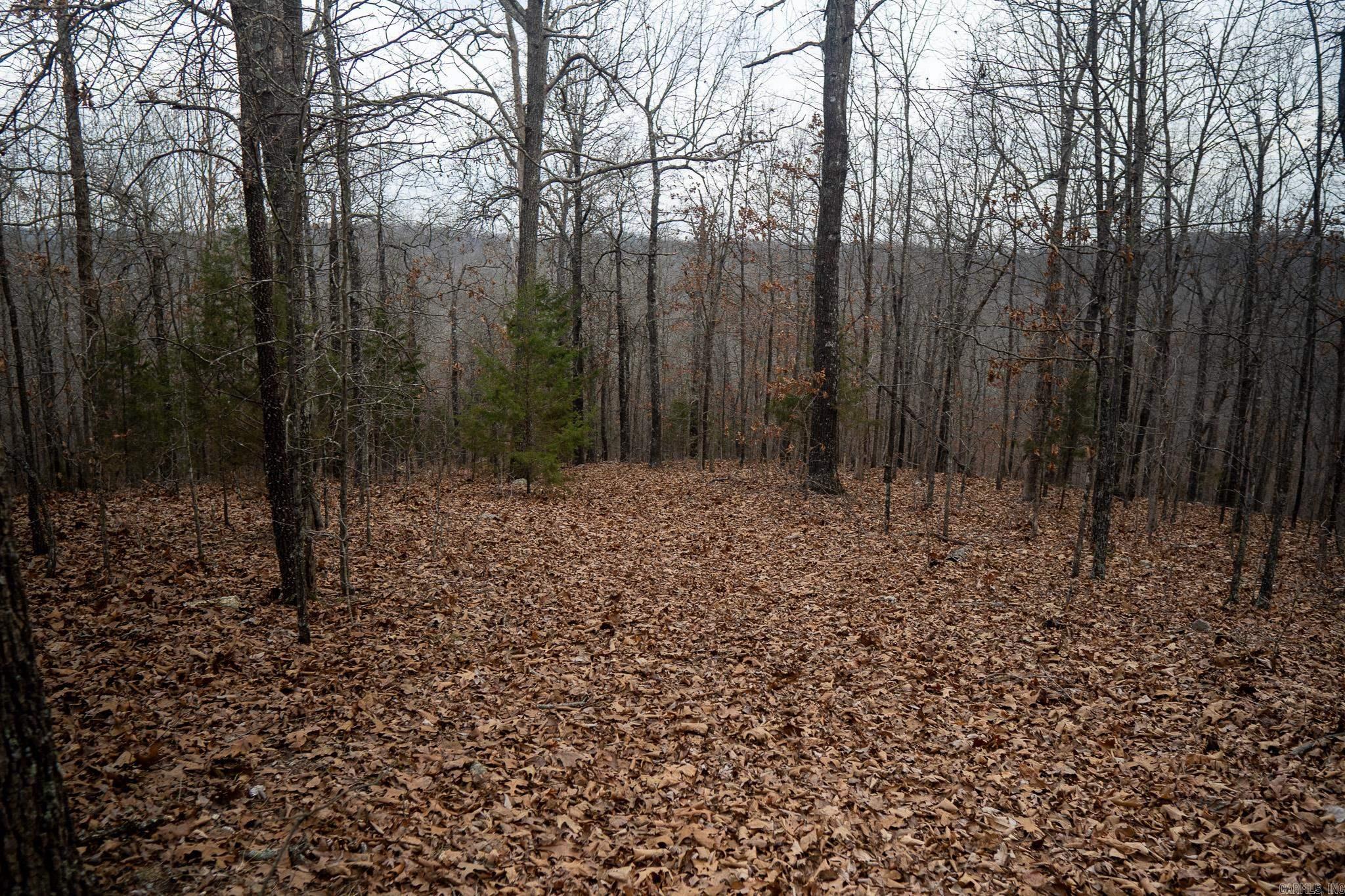 000 Nubbin Ridge  Ravenden Springs, AR