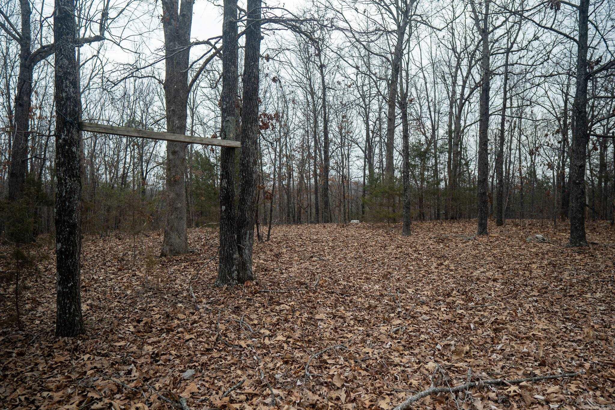 000 Nubbin Ridge  Ravenden Springs, AR