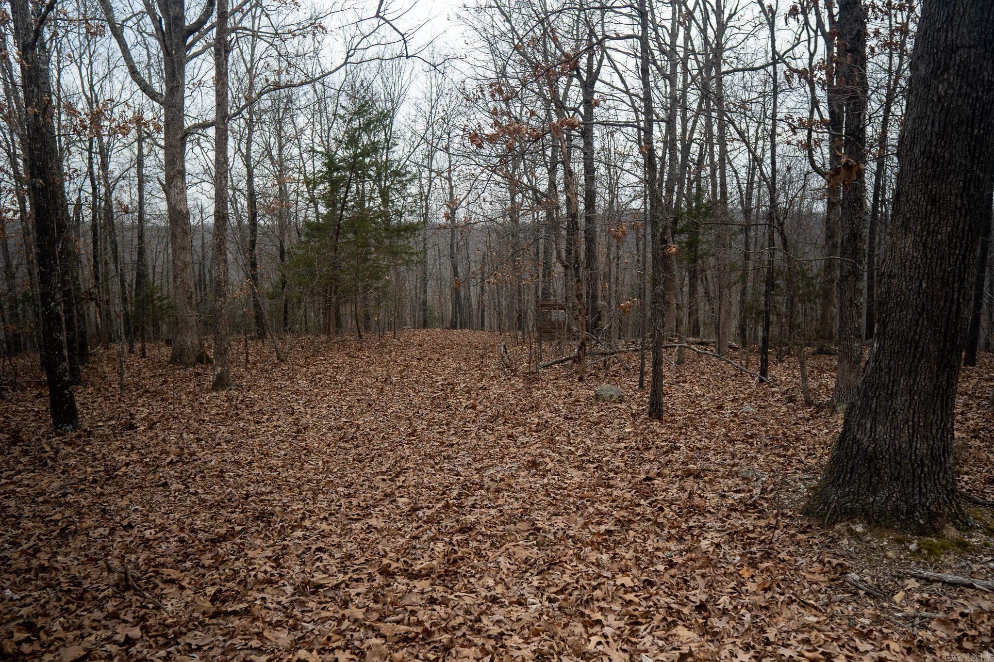 000 Nubbin Ridge  Ravenden Springs, AR