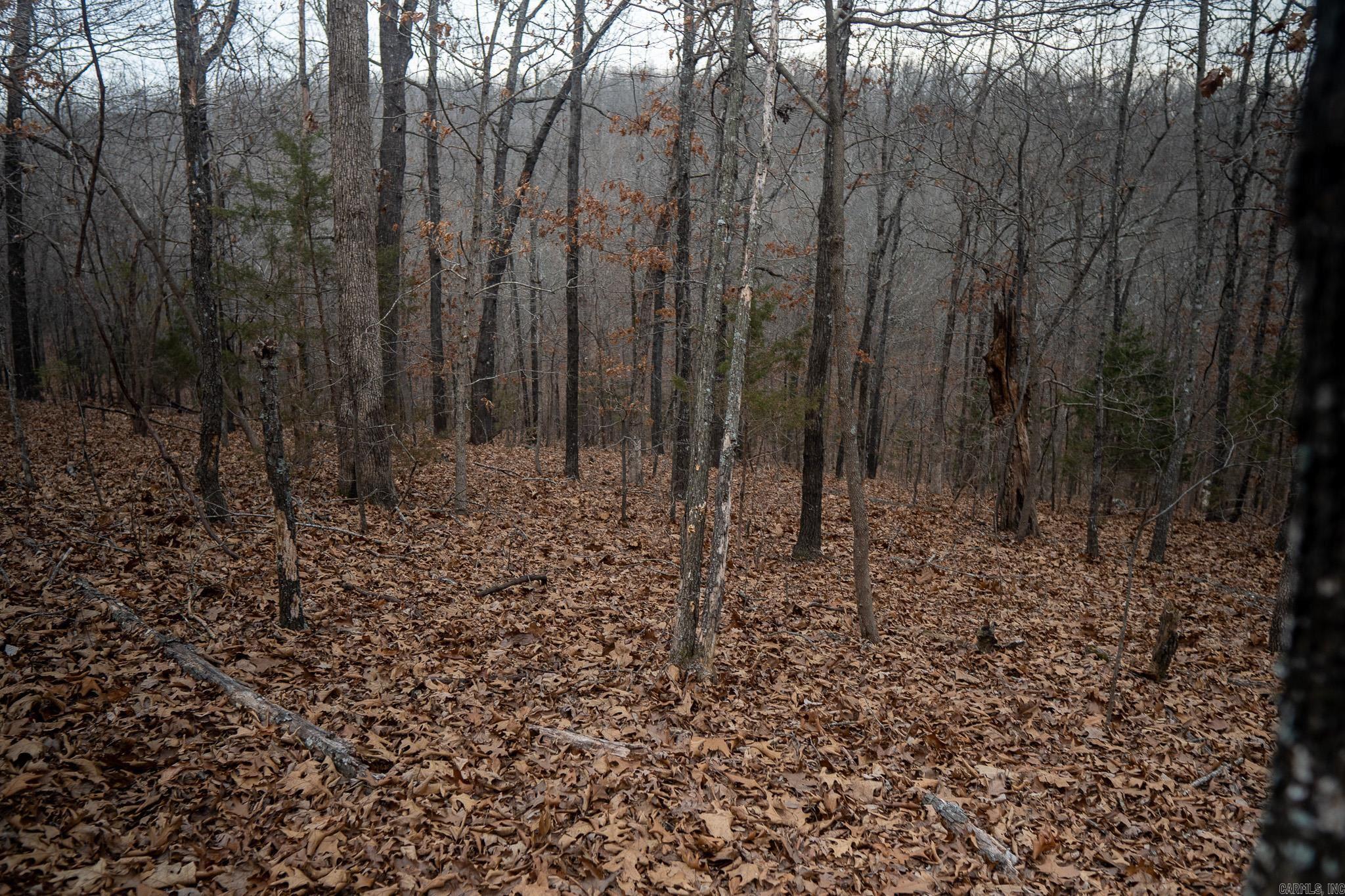 000 Nubbin Ridge  Ravenden Springs, AR