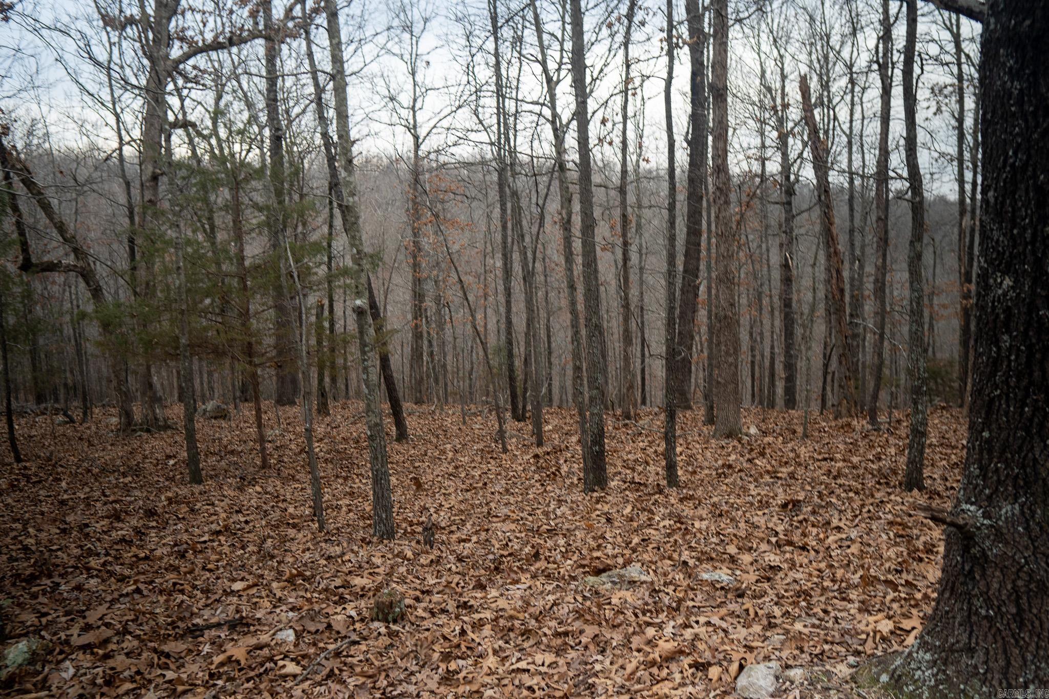 000 Nubbin Ridge  Ravenden Springs, AR