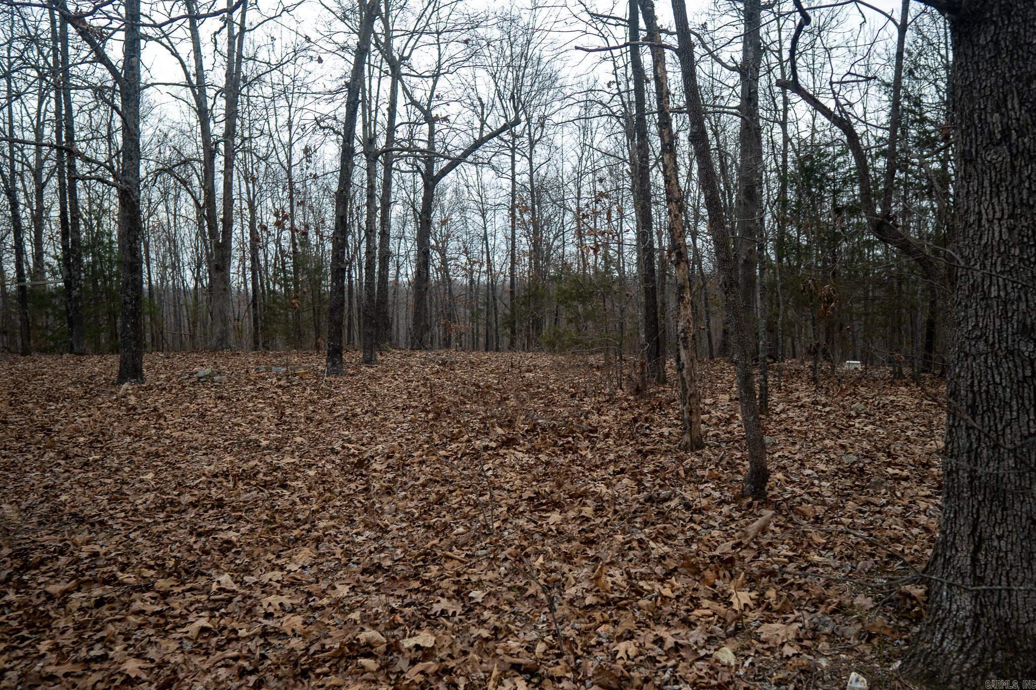 000 Nubbin Ridge  Ravenden Springs, AR