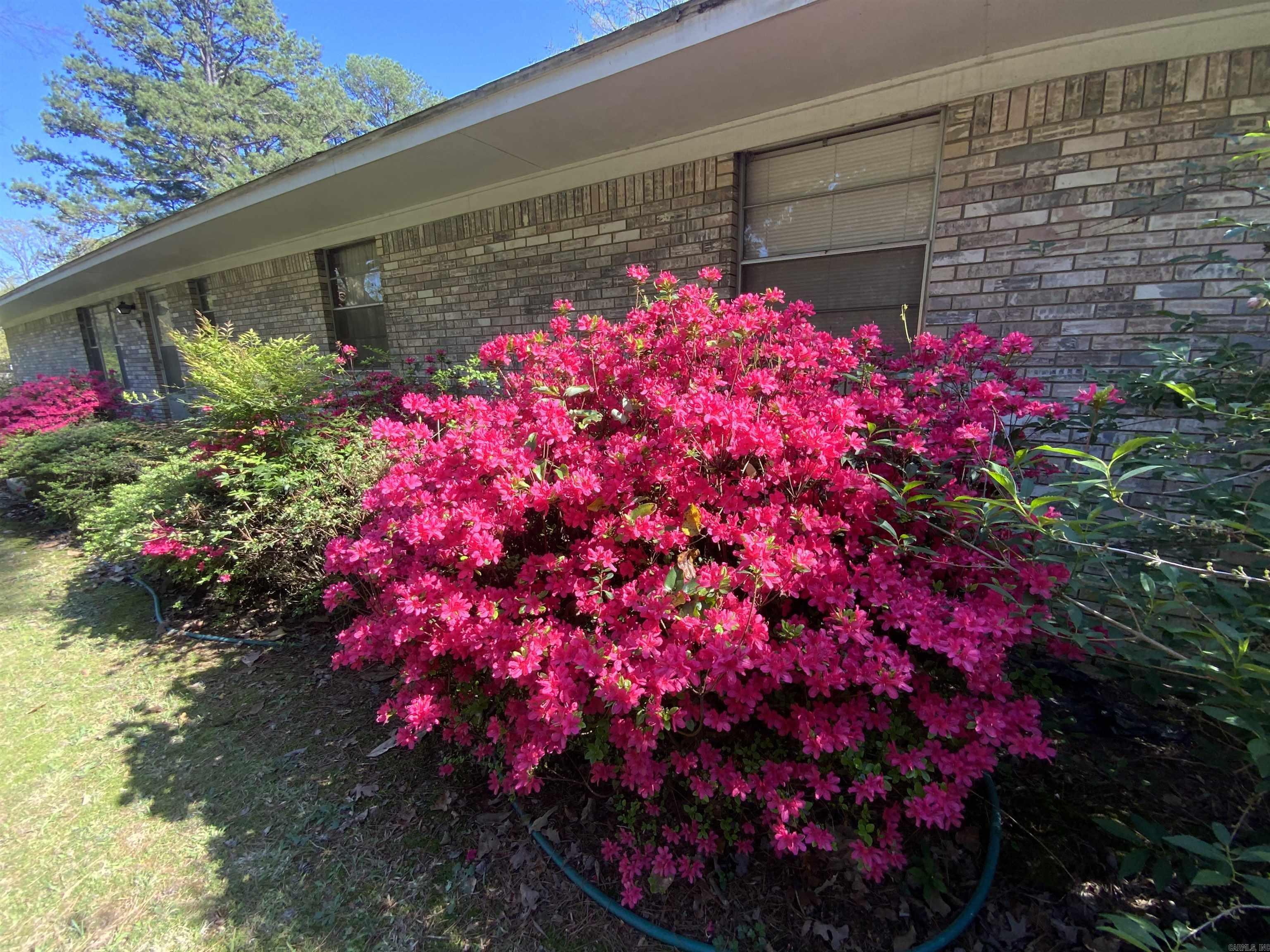 1320 Weddingford  Heber Springs, AR