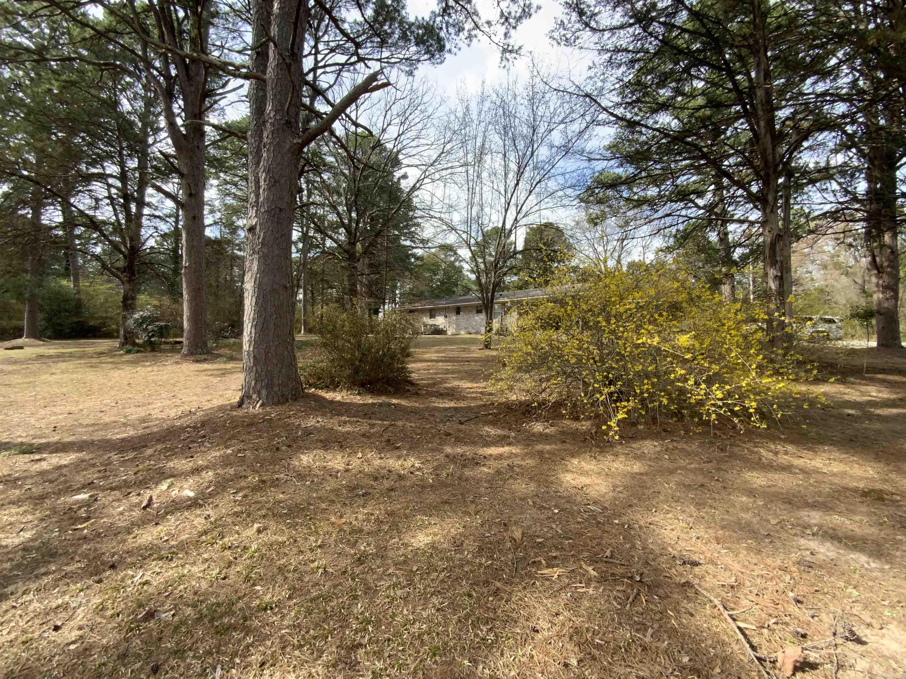 1320 Weddingford  Heber Springs, AR