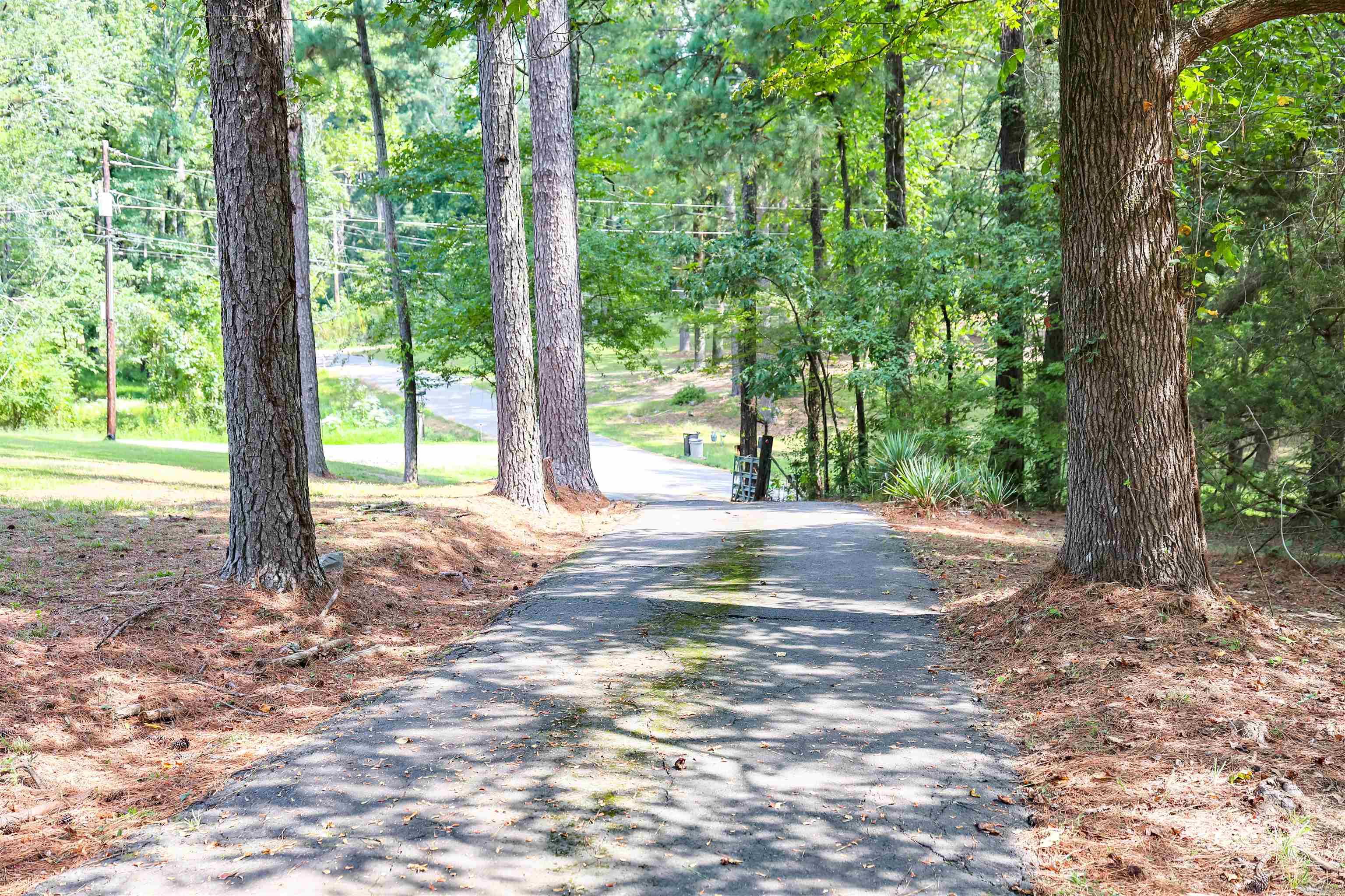 51 GORMAN  Arkadelphia, AR