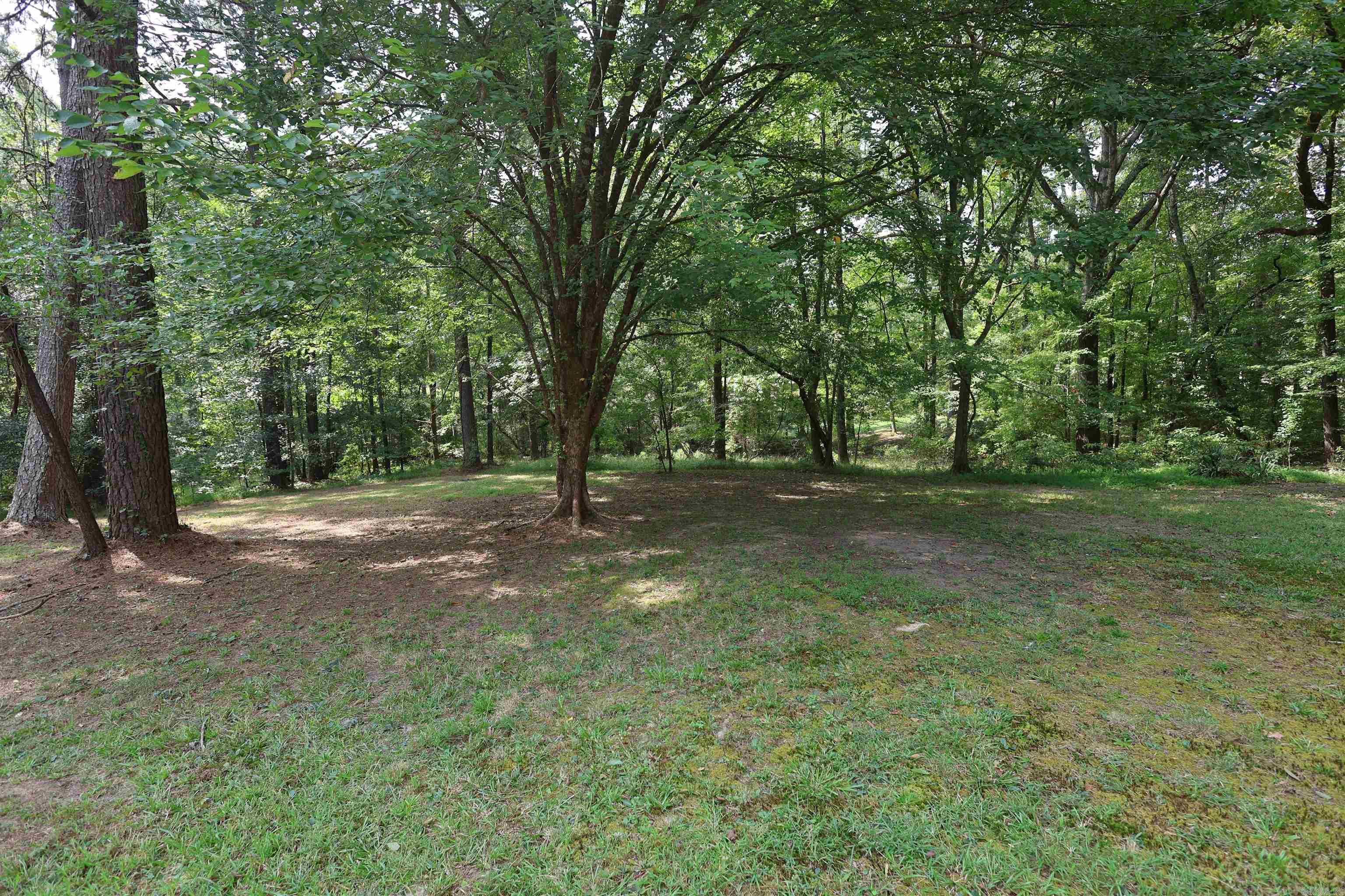 51 GORMAN  Arkadelphia, AR