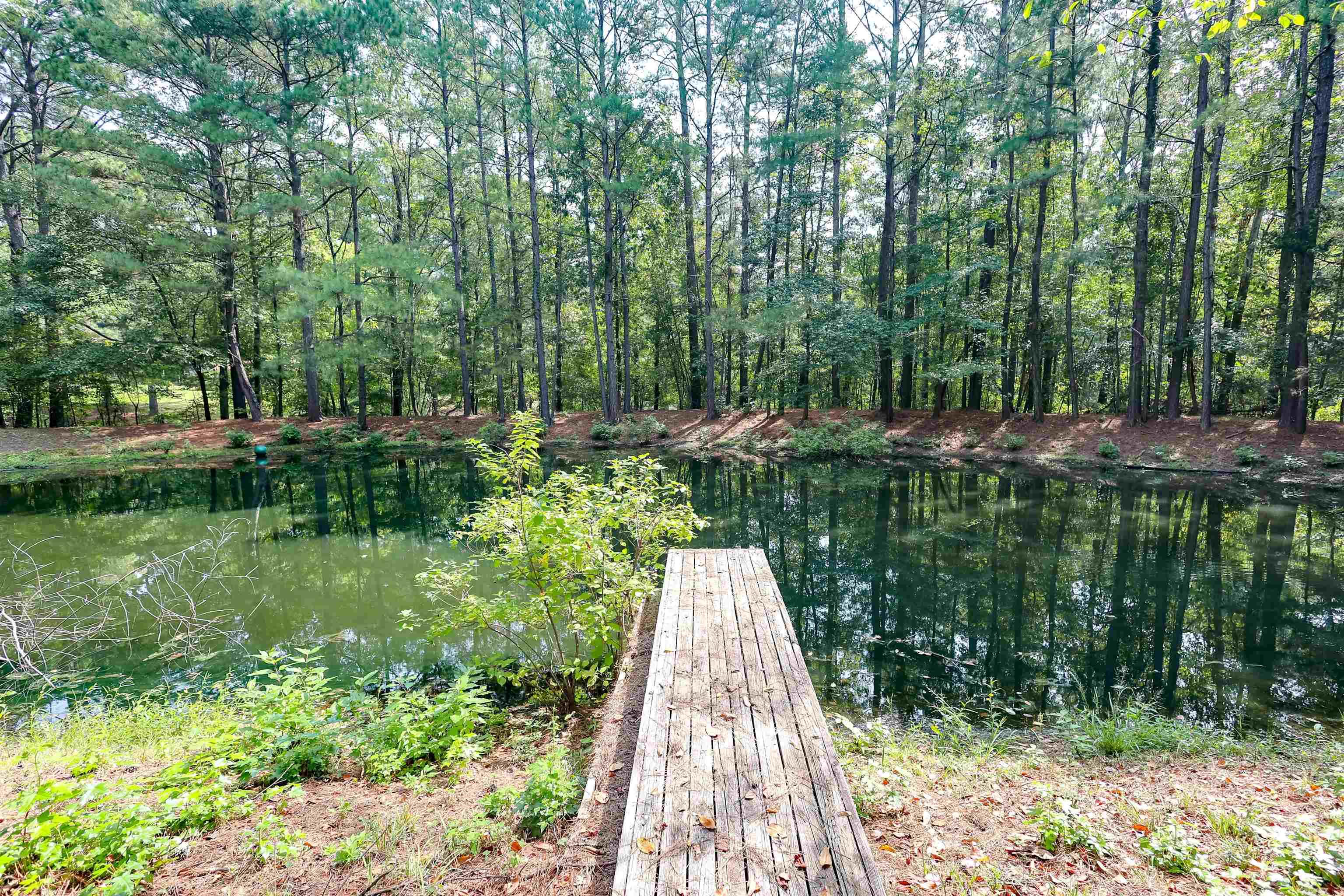 51 GORMAN  Arkadelphia, AR