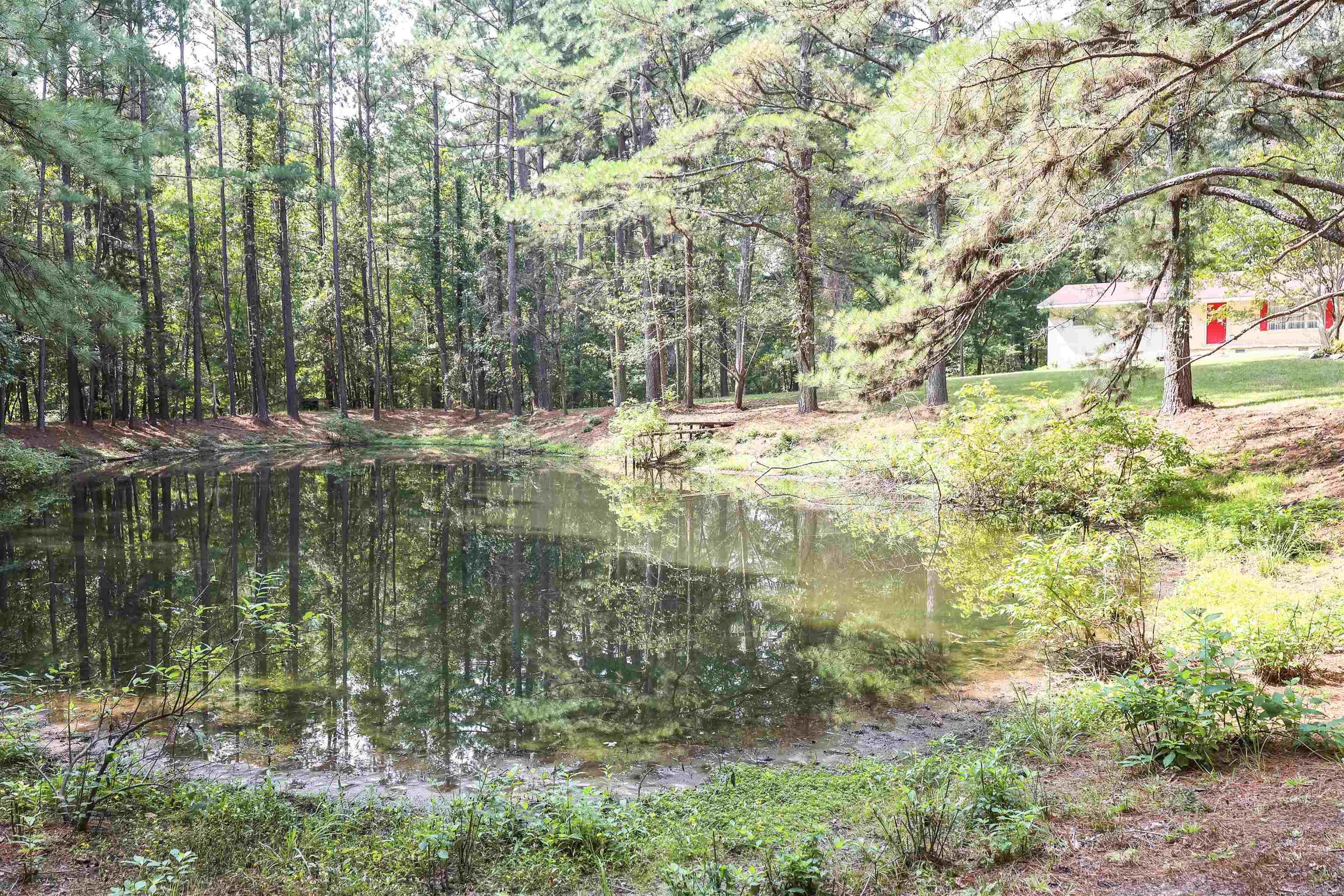 51 GORMAN  Arkadelphia, AR