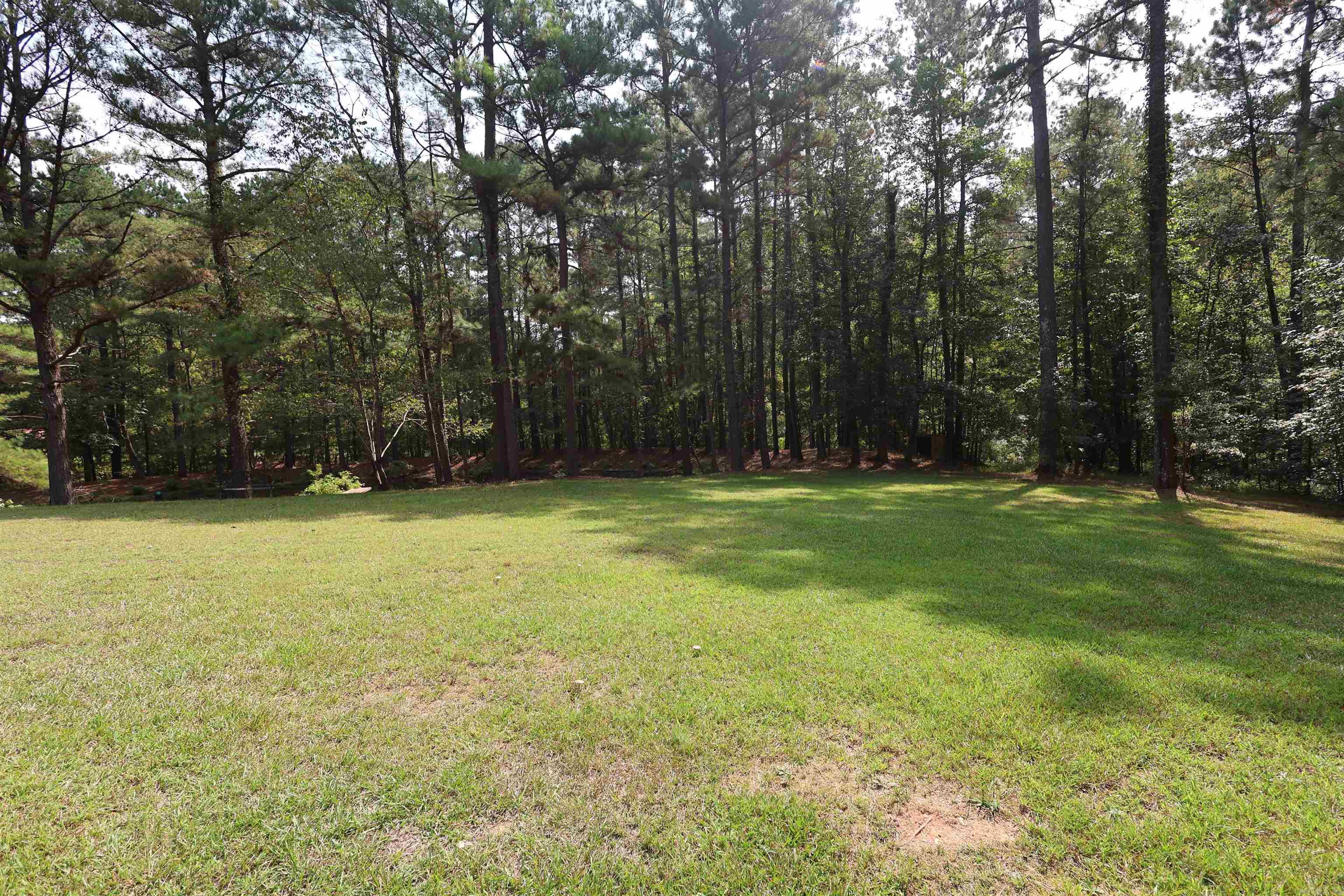 51 GORMAN  Arkadelphia, AR