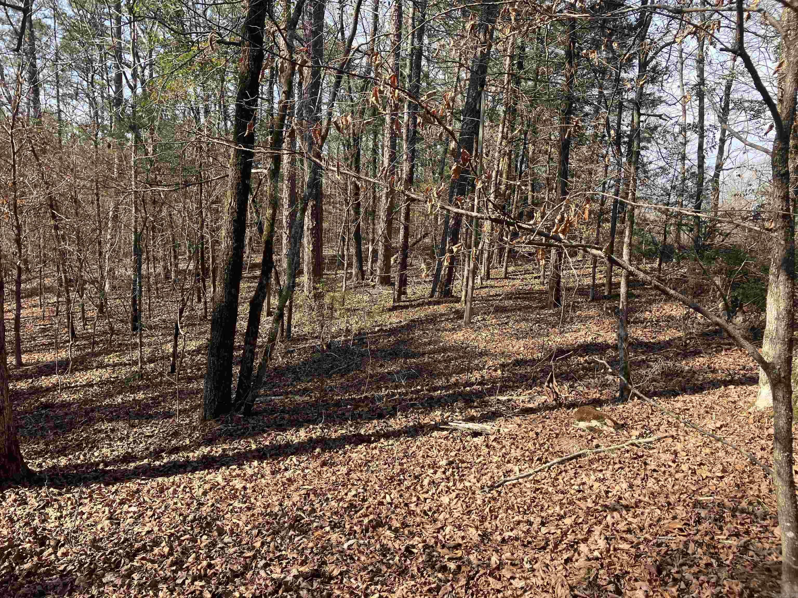 9999 Riverfront Drive  Mount Ida, AR