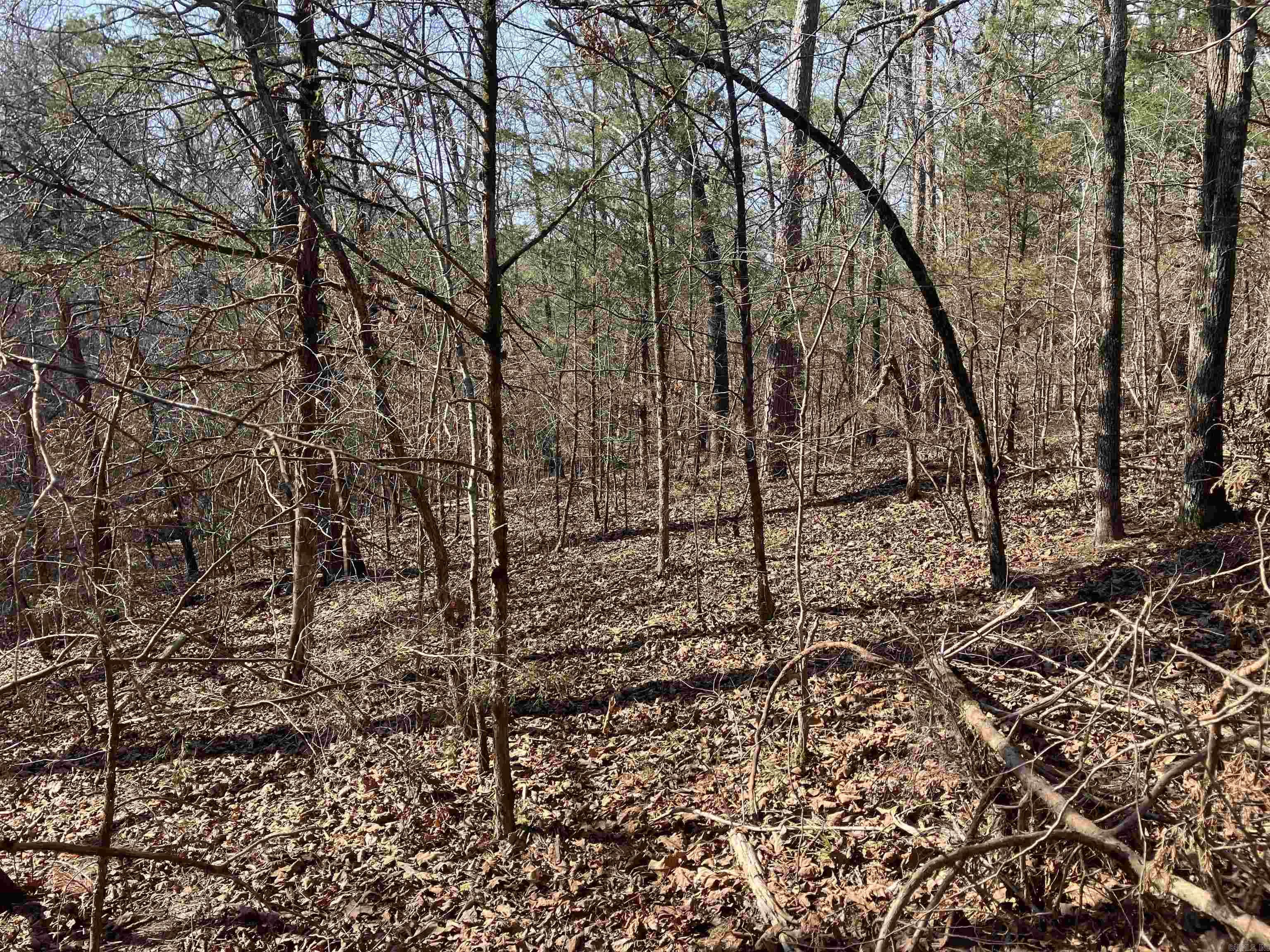 9999 Riverfront Drive  Mount Ida, AR