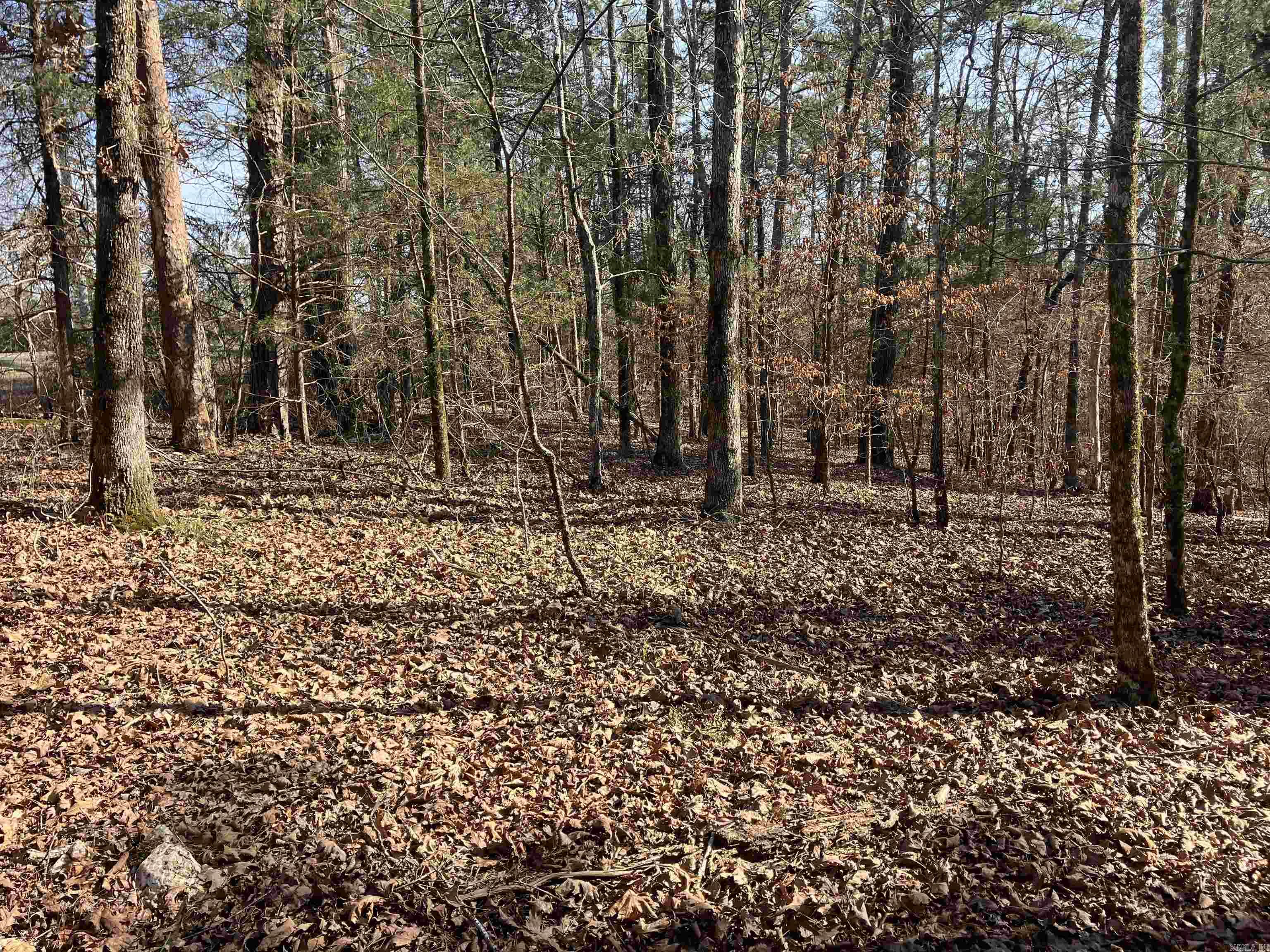 9999 Riverfront Drive  Mount Ida, AR