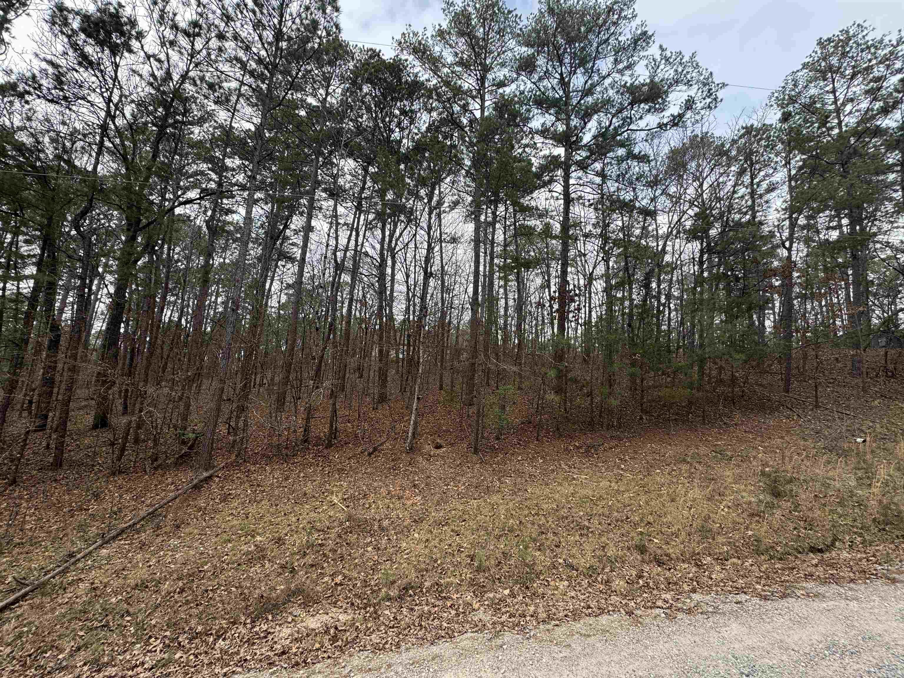 tbd Doubloon  Hot Springs, AR