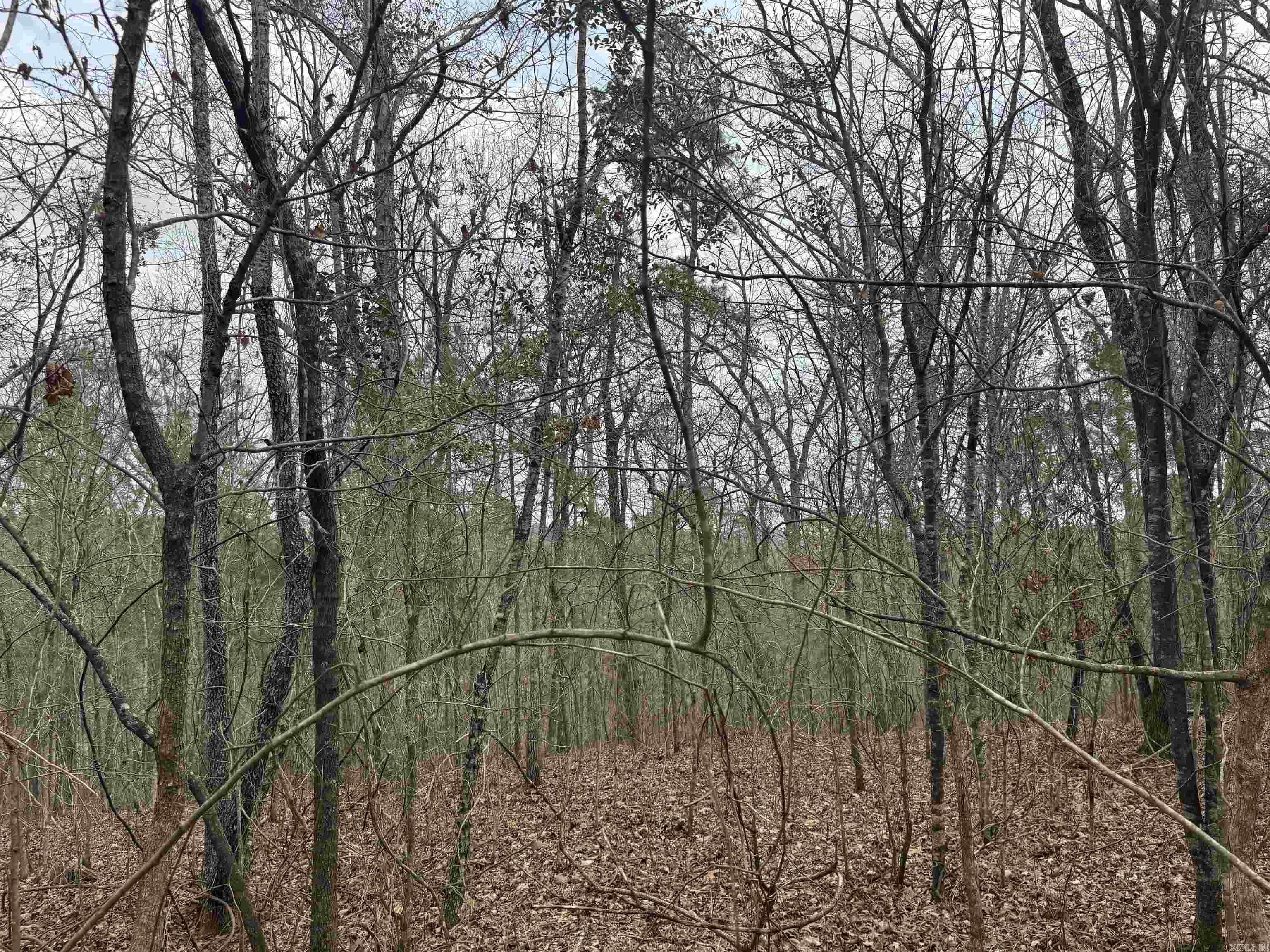 tbd Pirate  Hot Springs, AR