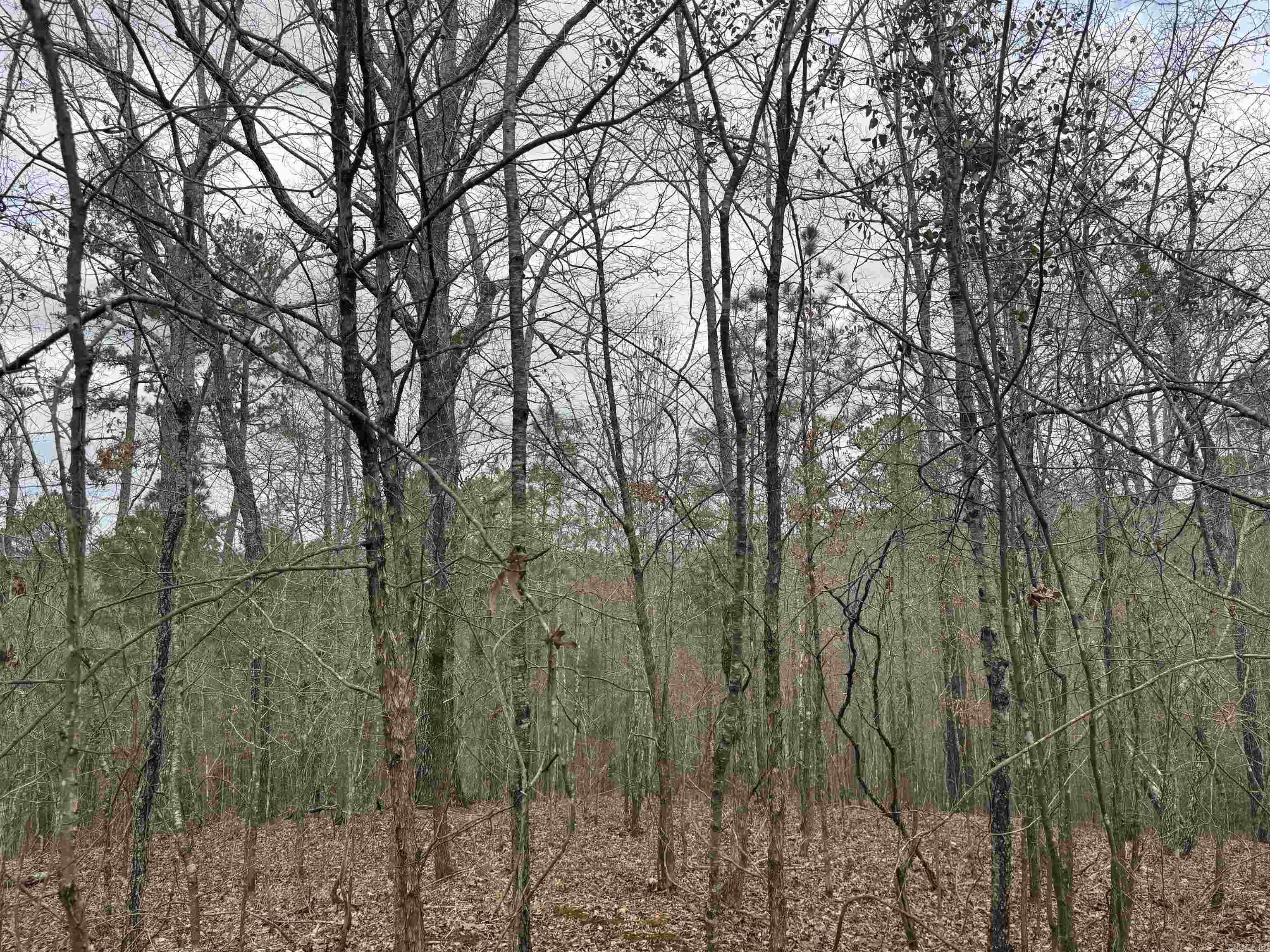 tbd Pirate  Hot Springs, AR