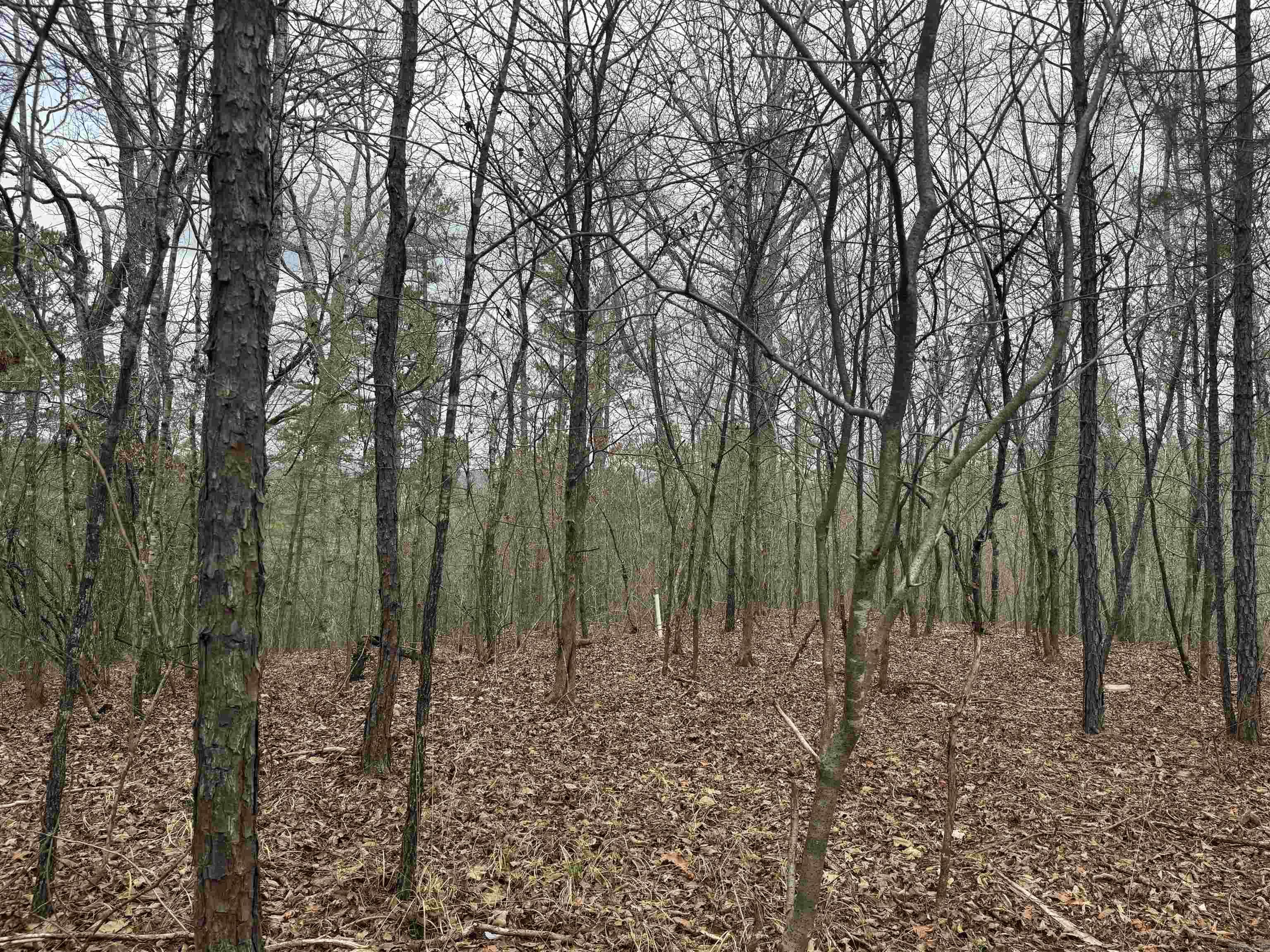 tbd Pirate  Hot Springs, AR