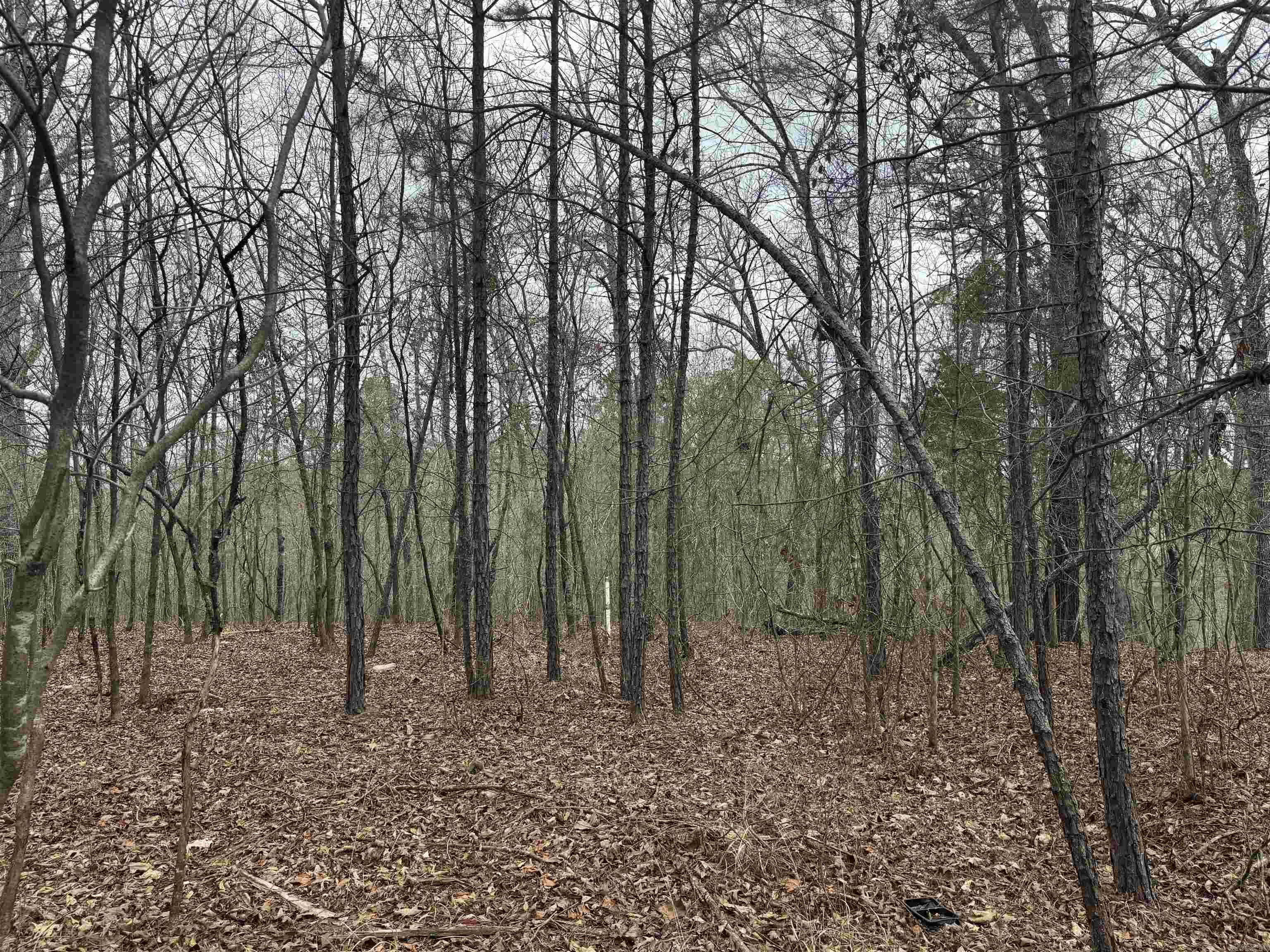 tbd Pirate  Hot Springs, AR