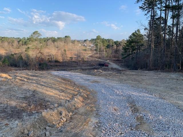 Tract 2 11395 Hwy 84  Bismarck, AR