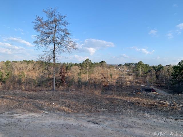 Tract 2 11395 Hwy 84  Bismarck, AR