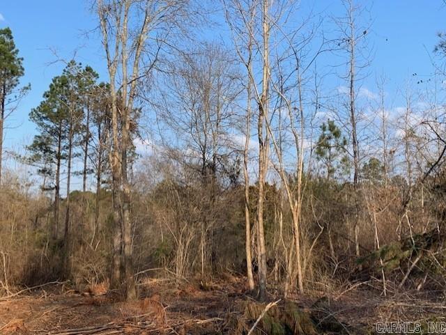 Tract 2 11395 Hwy 84  Bismarck, AR