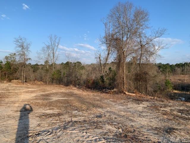 Tract 2 11395 Hwy 84  Bismarck, AR