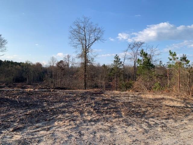 Tract 2 11395 Hwy 84  Bismarck, AR