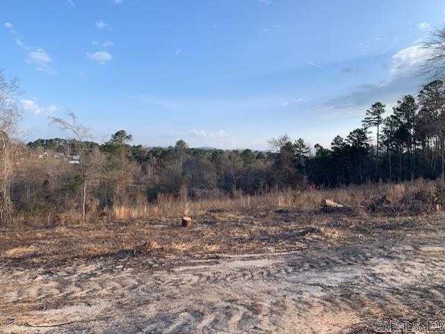 Tract 2 11395 Hwy 84  Bismarck, AR