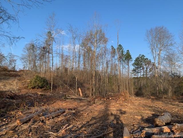 Tract 2 11395 Hwy 84  Bismarck, AR