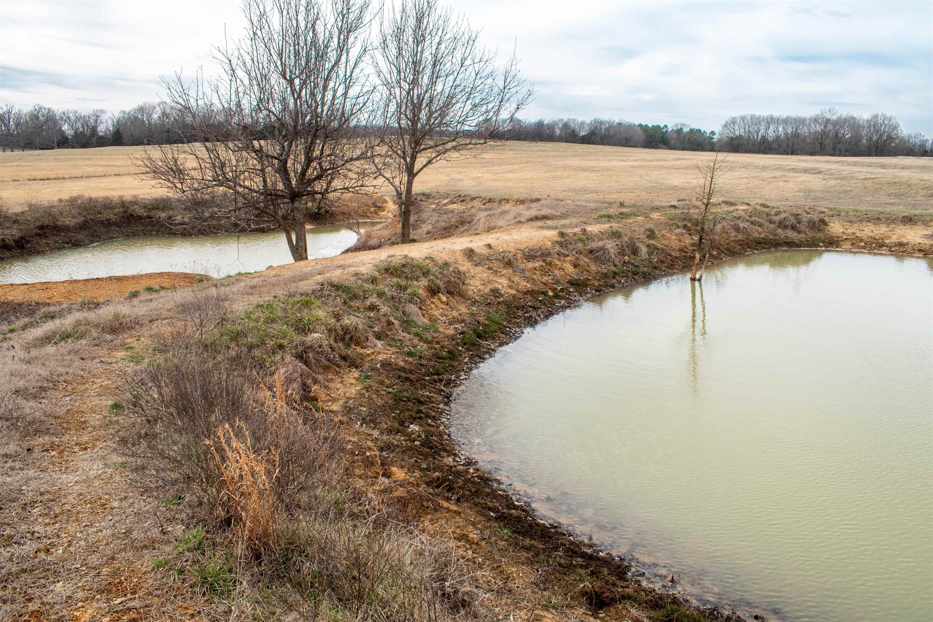 1274 Cutoff Road  Melbourne, AR