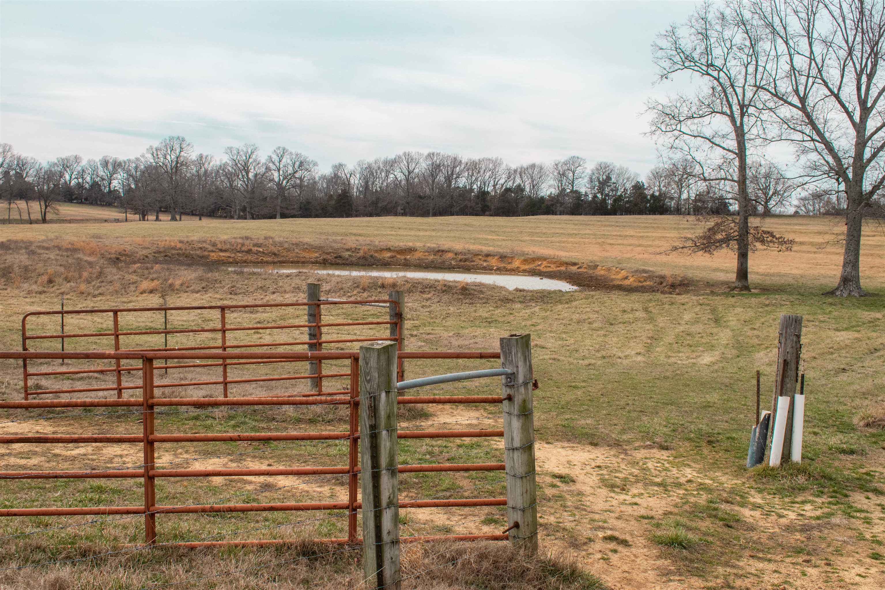 1274 Cutoff Road  Melbourne, AR