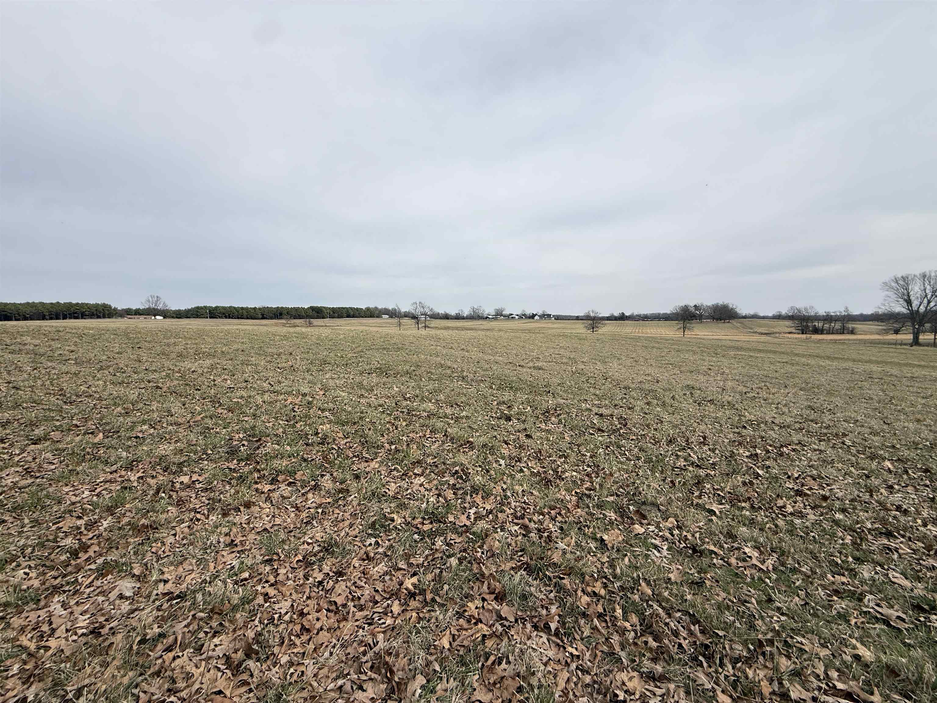 1274 Cutoff Road  Melbourne, AR