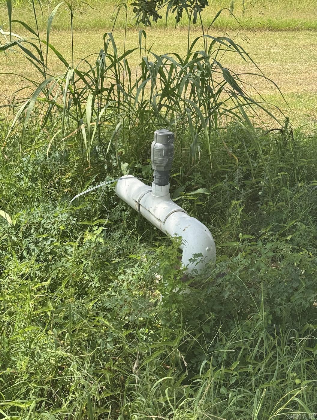 48+ Acres County Road 602  Wynne, AR